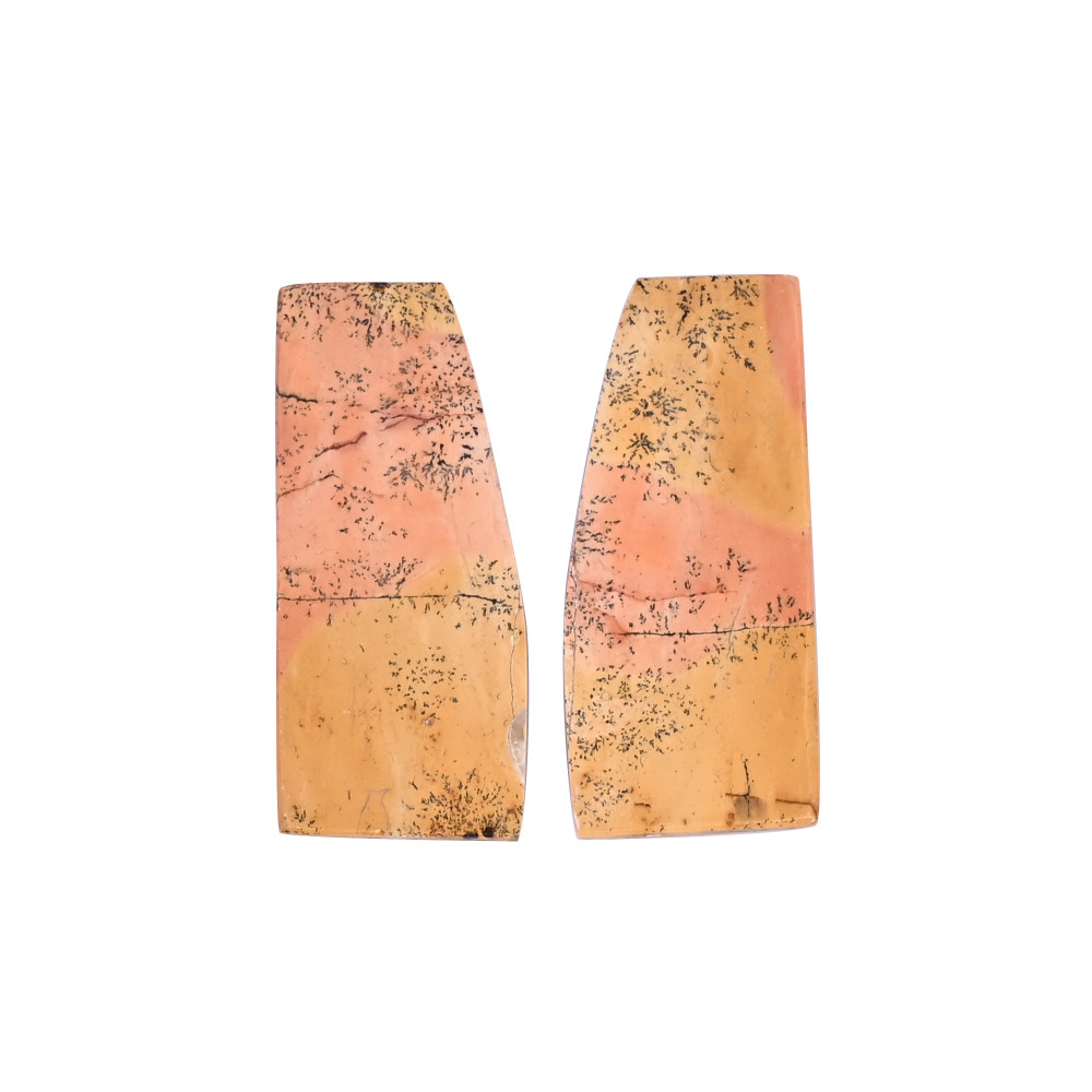 Image of Natural Picture Jasper  48.7 Carat (1 Pair Weight)   44x20mm Uneven Shape Loose Gemstone