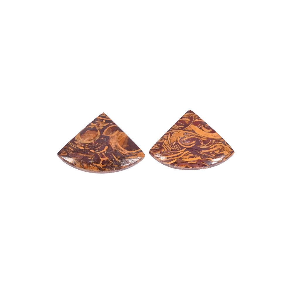 Image of Natural Mariam Jasper 18.2 Carat (1 Pair Weight) 20x14mm Fancy Shape Loose Gemstone