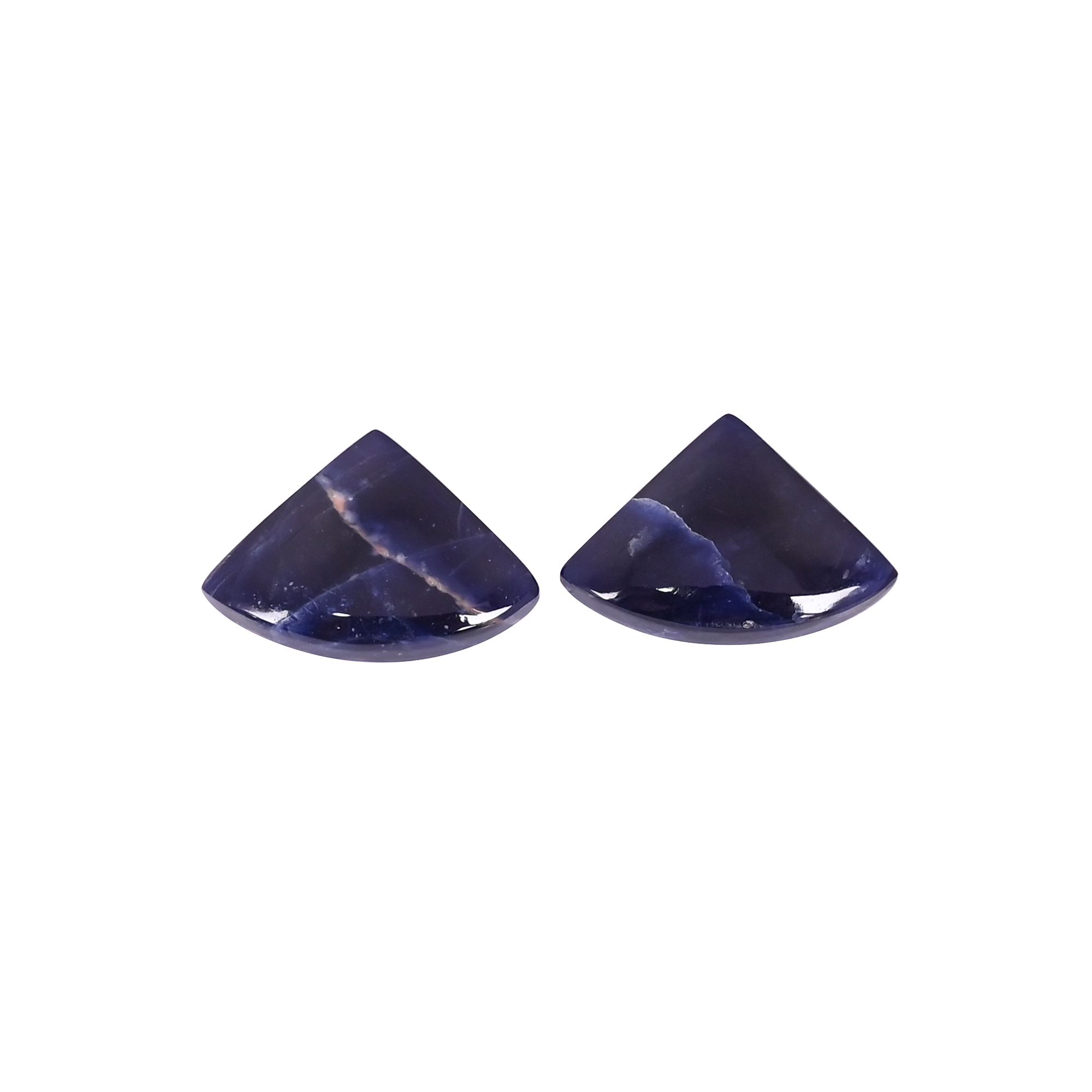 Natural Sodalite 164 Carat 1 Pair Weight 20x12mm Fancy Shape Loose Gemstone