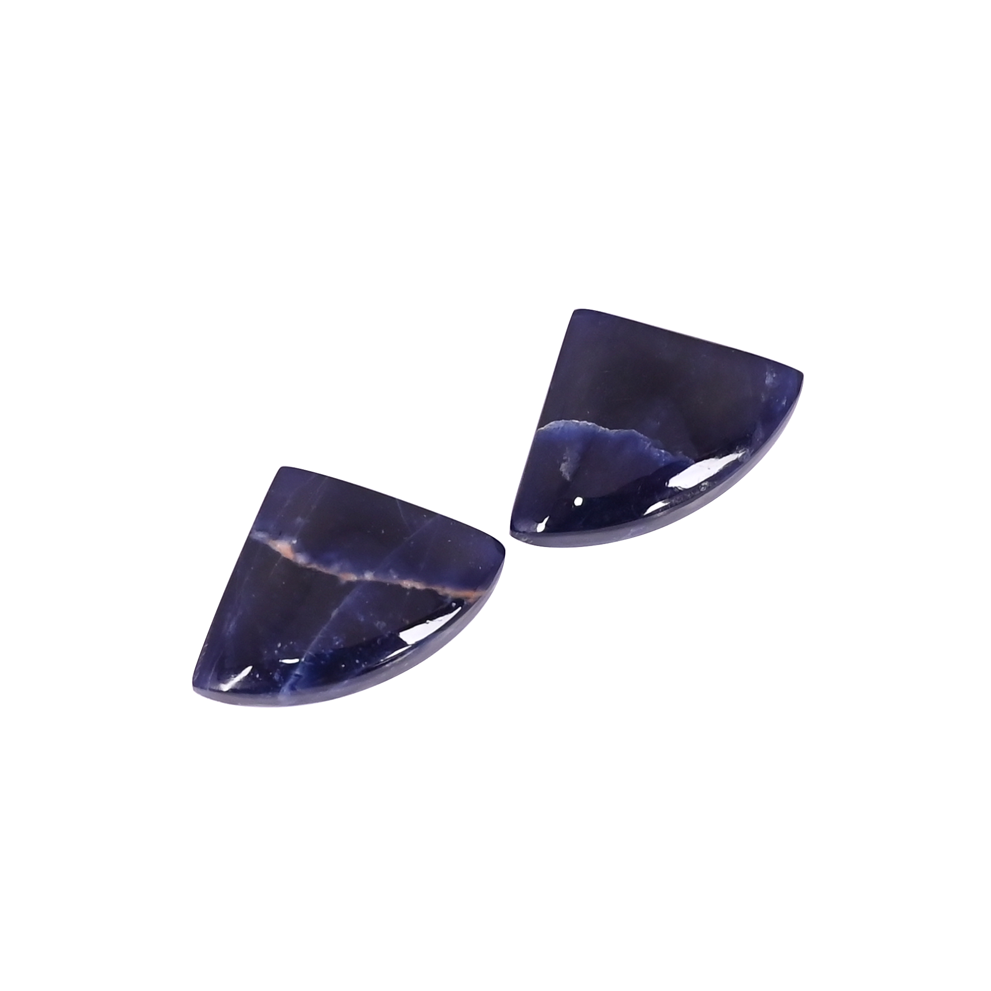 Natural Sodalite 164 Carat 1 Pair Weight 20x12mm Fancy Shape Loose Gemstone
