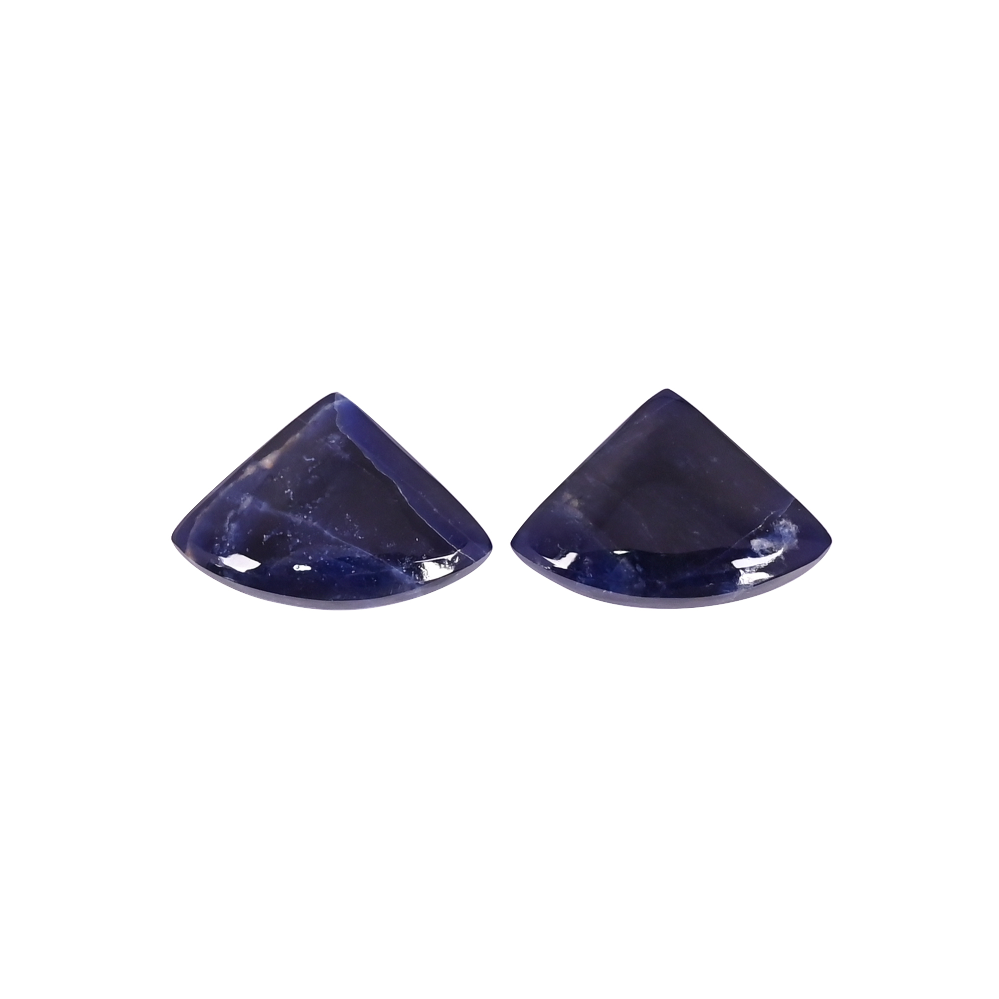 Natural Sodalite 164 Carat 1 Pair Weight 20x12mm Fancy Shape Loose Gemstone