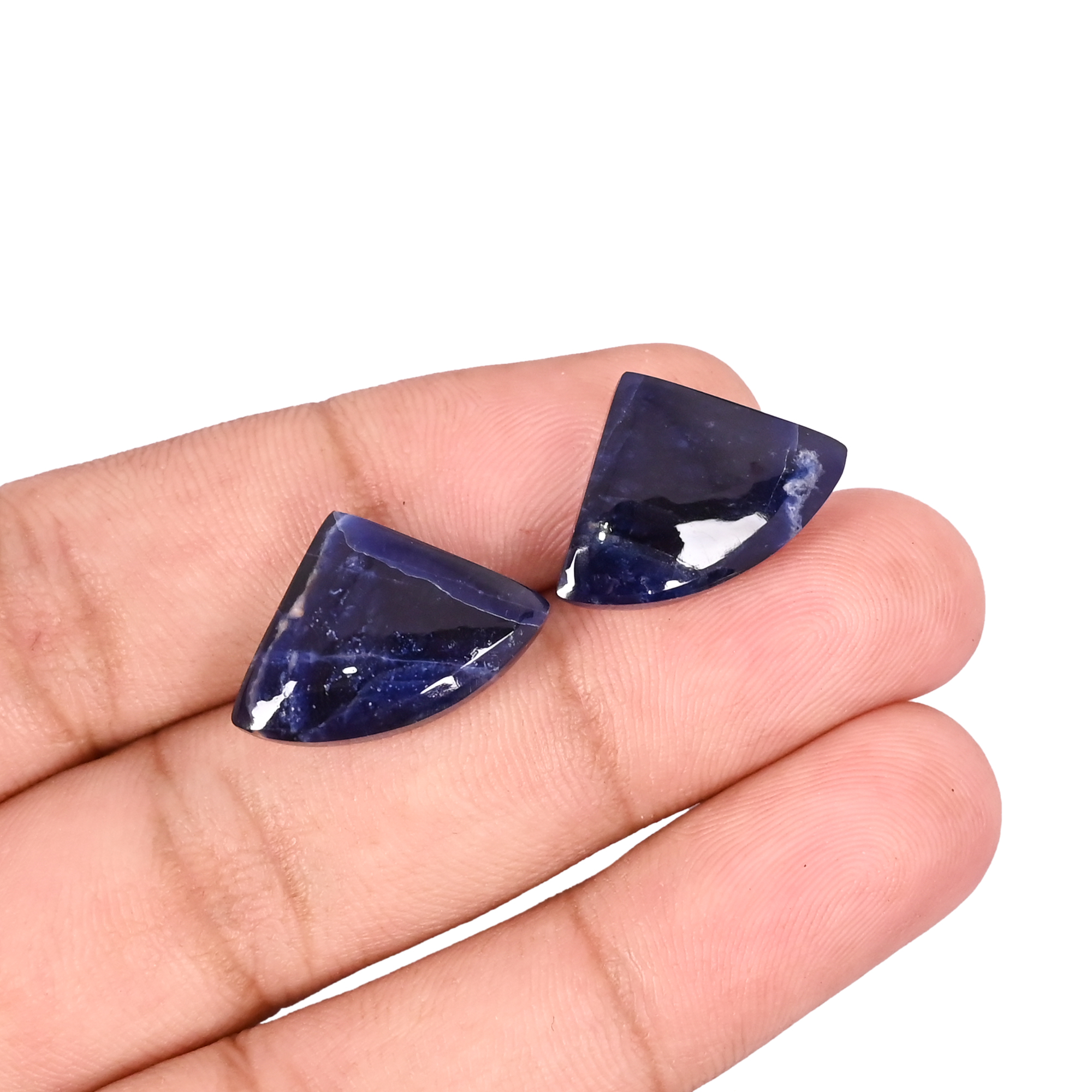 Natural Sodalite 164 Carat 1 Pair Weight 20x12mm Fancy Shape Loose Gemstone