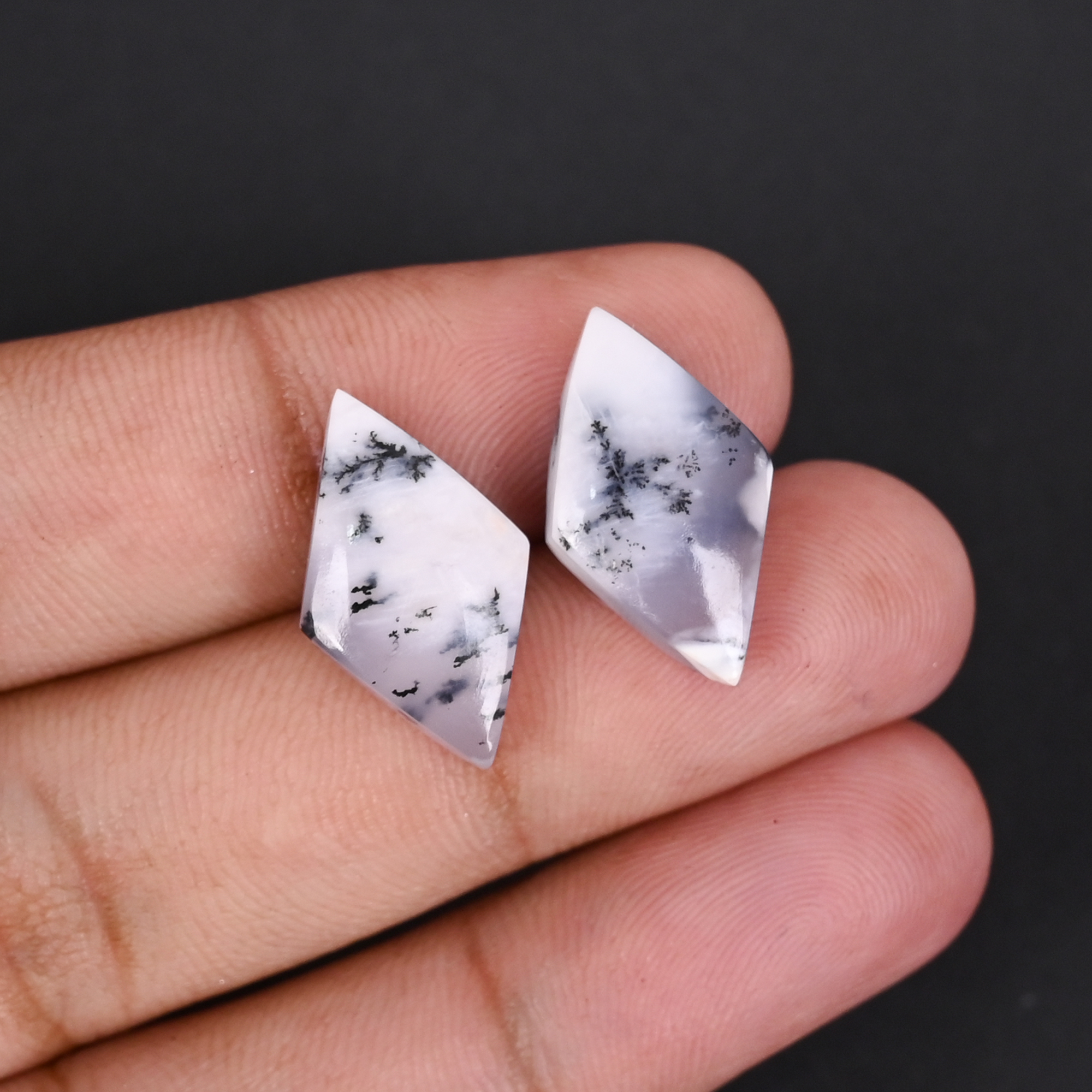 Natural Dendritic Opal 142 Carat 1 Pair Weight  20x12mm Rhombus Shape Loose Gemstone
