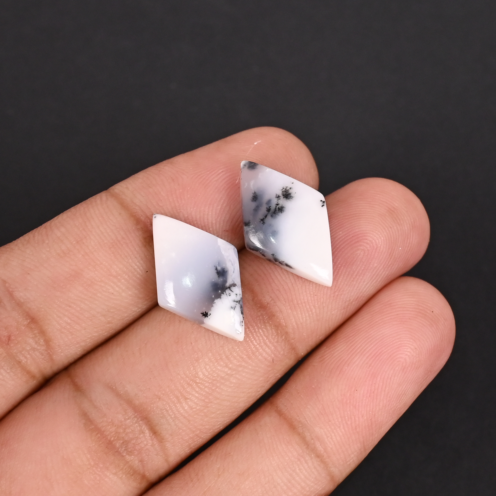 Natural Dendritic Opal 137 Carat 1 Pair Weight 20x12mm Rhombus Shape Loose Gemstone