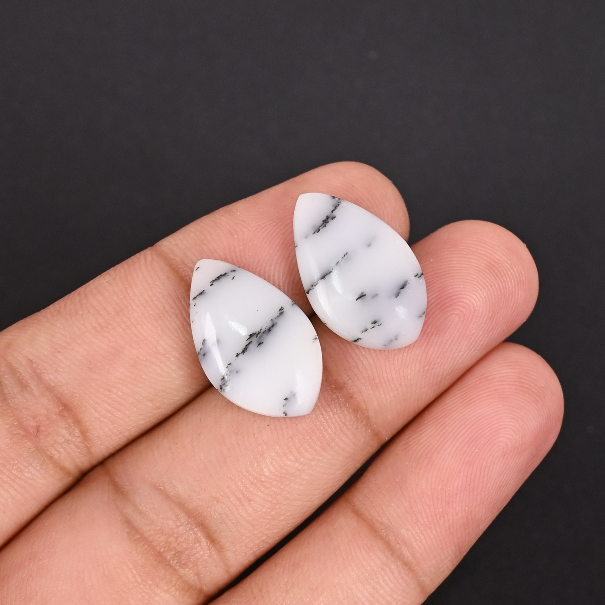 Natural Dendritic Opal 142 Carat 1 Pair Weight 20x12mm Fancy Shape Loose Gemstone