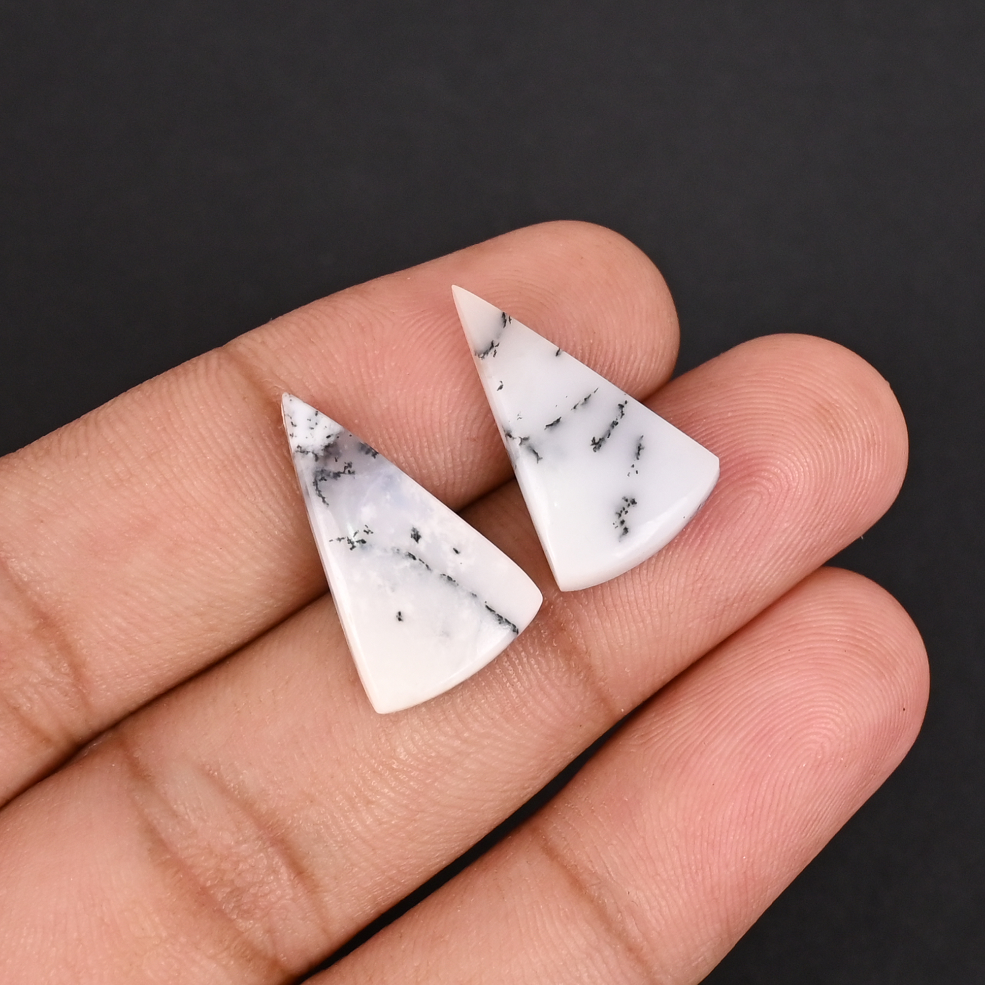 Natural Dendritic Opal 130 Carat 1 Pair Weight  20x12mm Fancy Shape Loose Gemstone