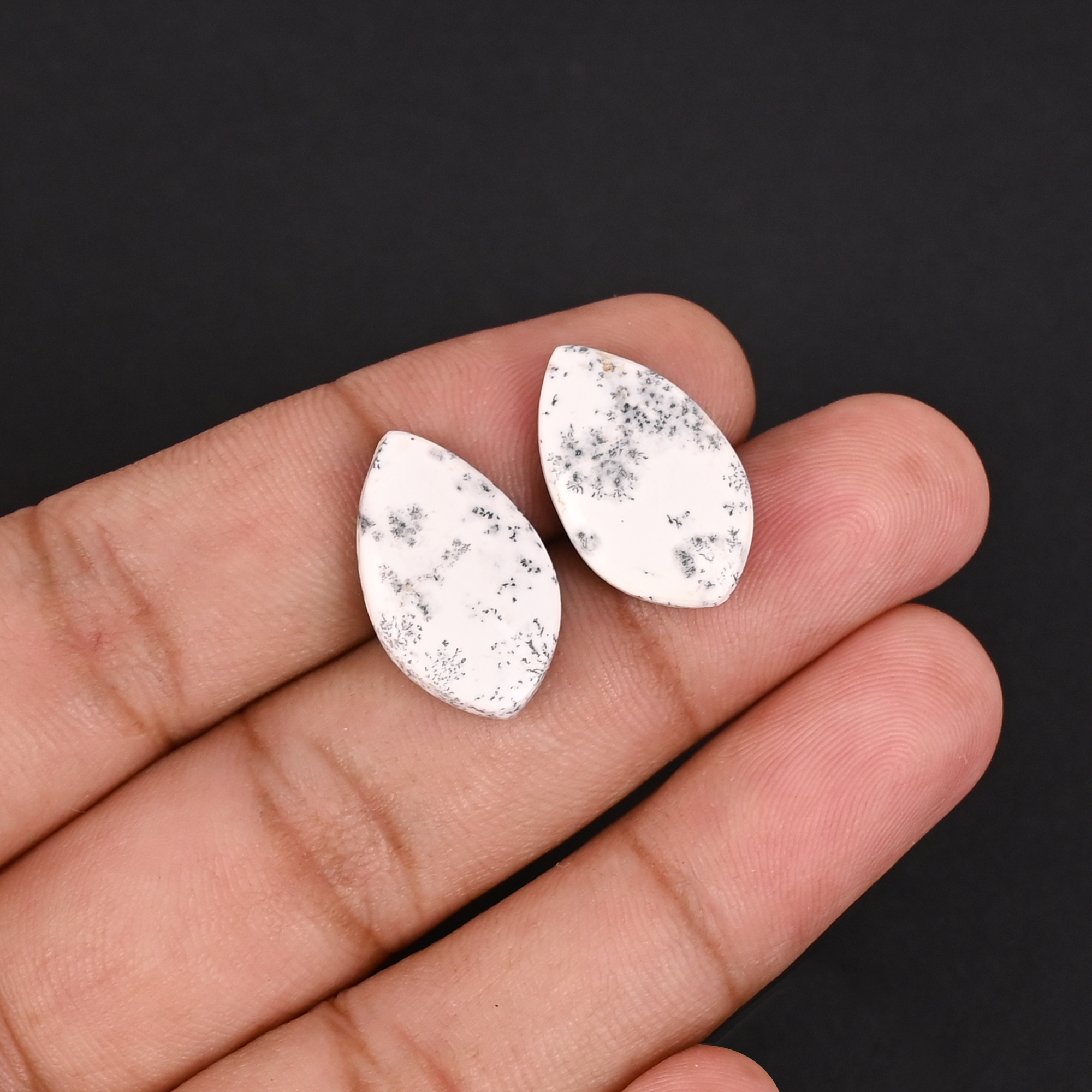 Natural Dendritic Opal 141 Carat 1 Pair Weight  20x12mm Fancy Shape Loose Gemstone