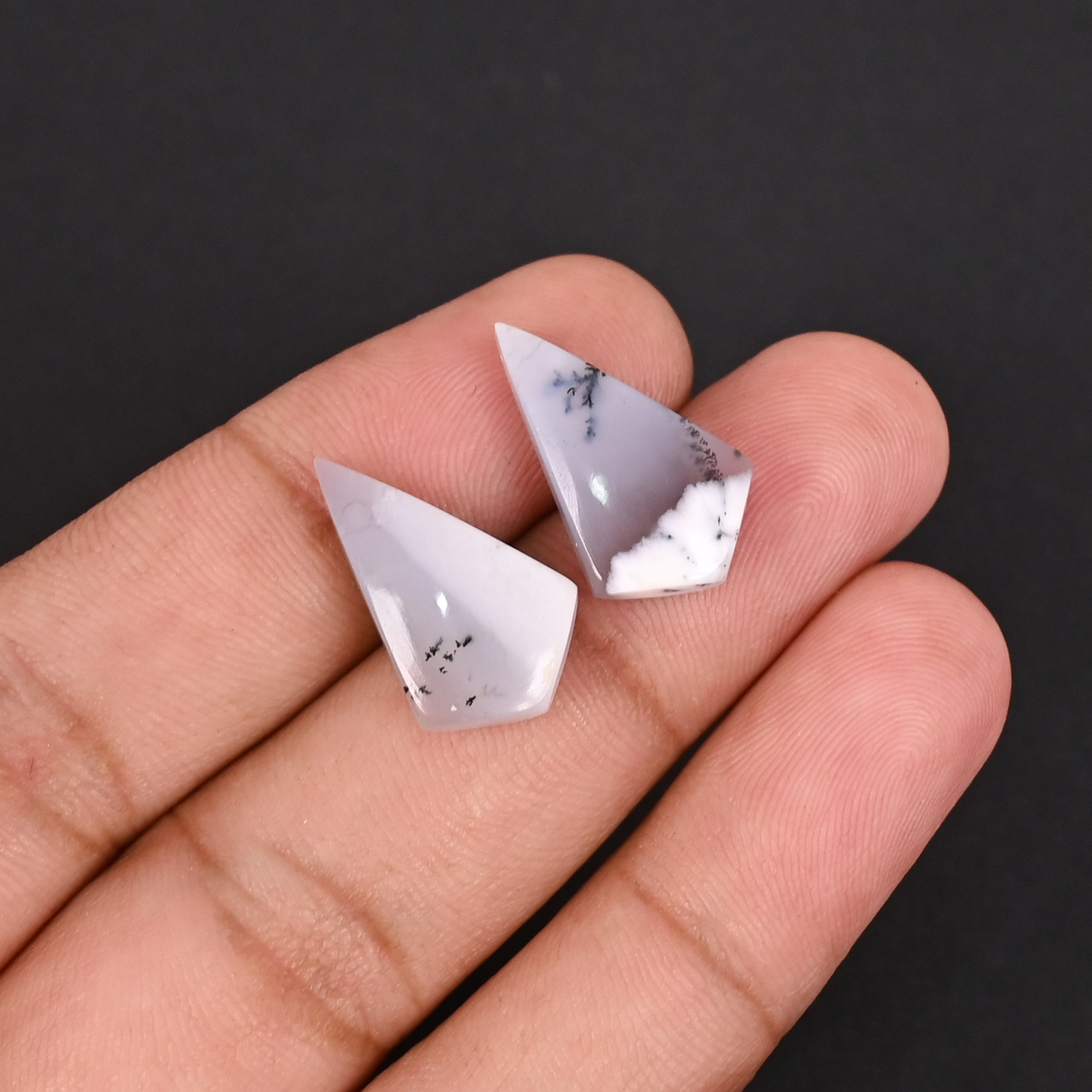 Natural Dendritic Opal 132 Carat 1 Pair Weight 20x12mm Kite Shape Loose Gemstone