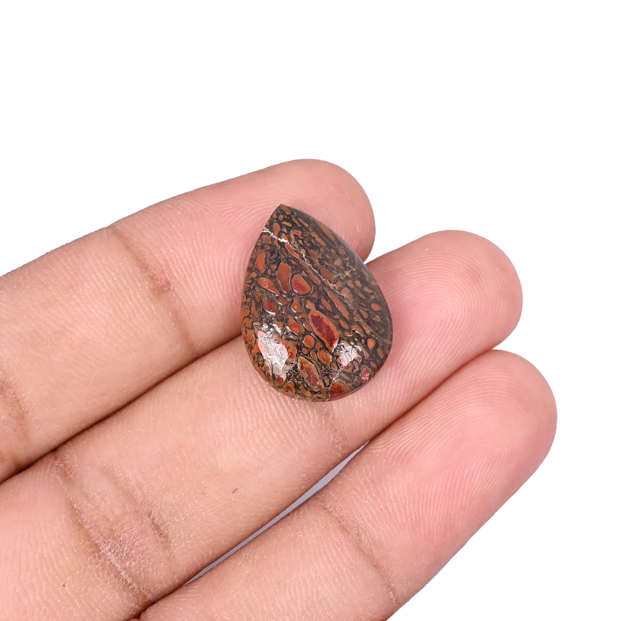 Dinosaur Bone 11 Carat 21x15mm Pear Shape Loose Gemstone