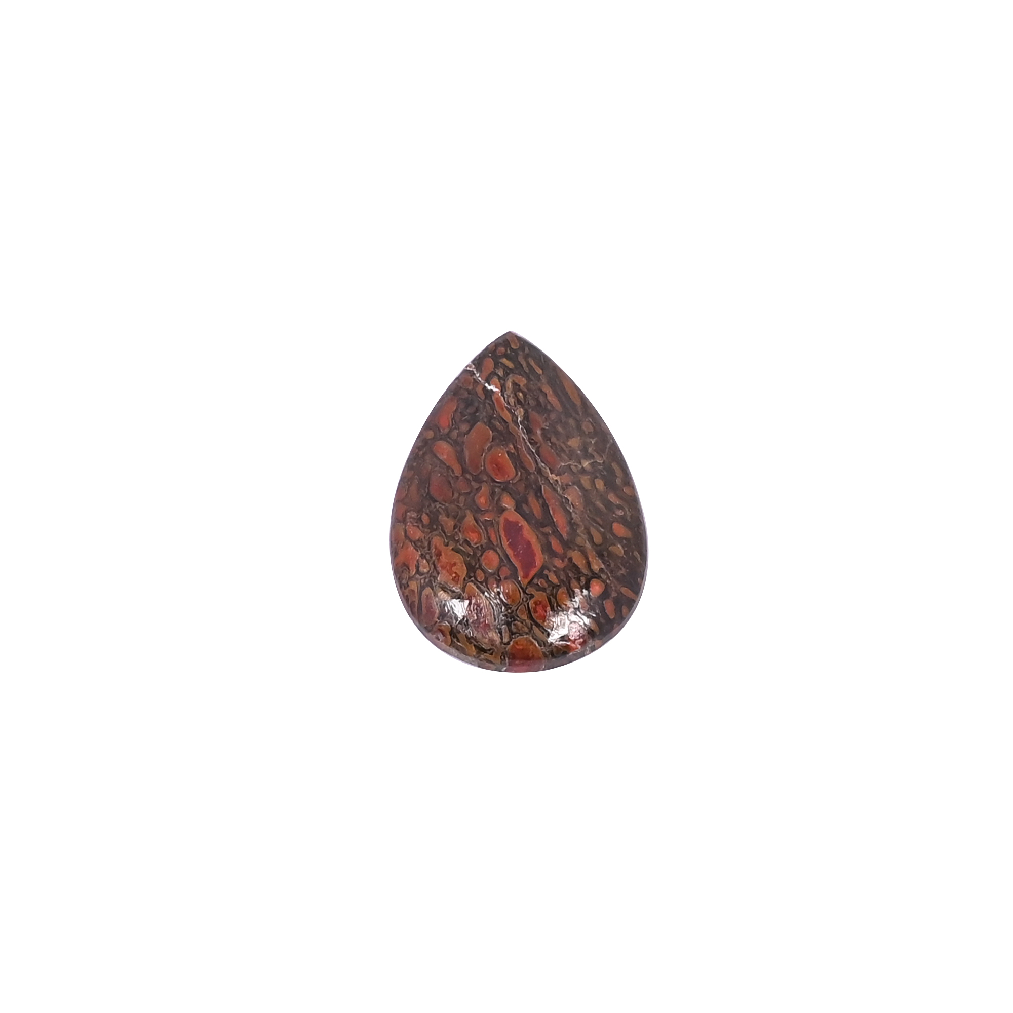 Dinosaur Bone 11 Carat 21x15mm Pear Shape Loose Gemstone
