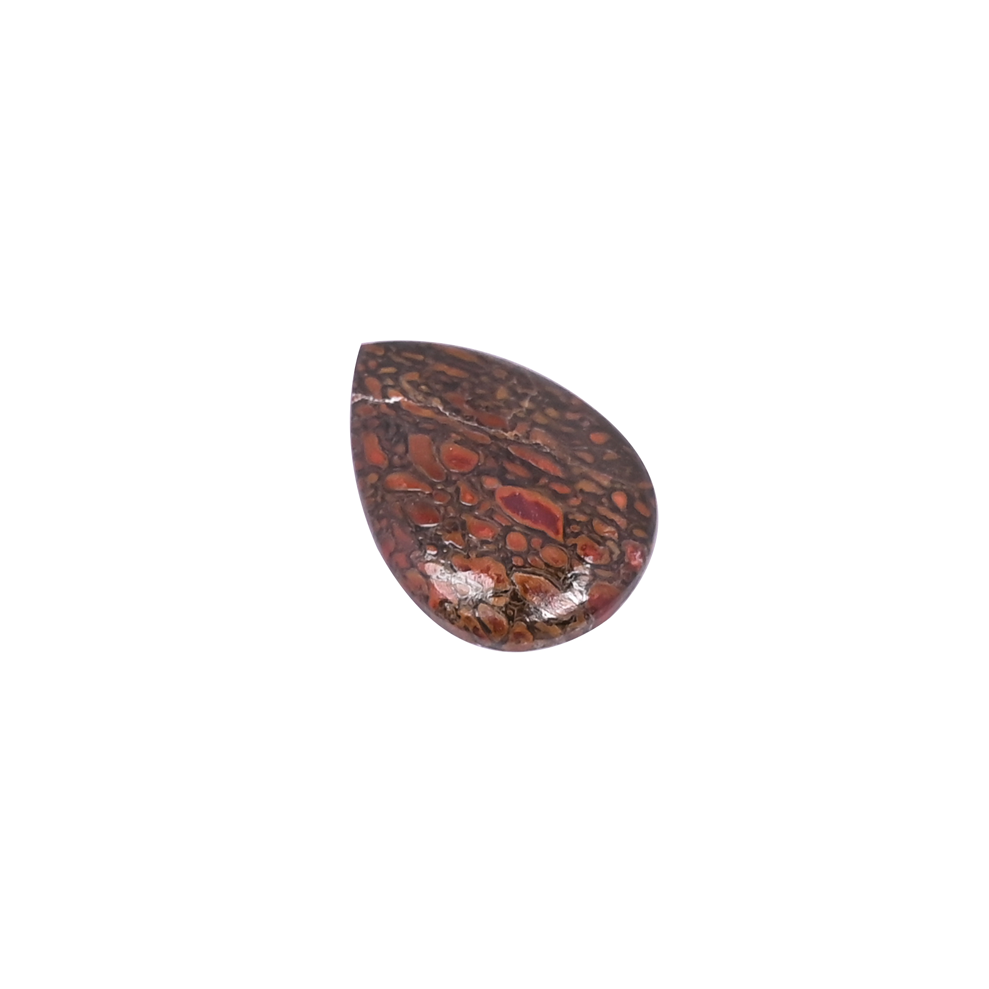 Dinosaur Bone 11 Carat 21x15mm Pear Shape Loose Gemstone