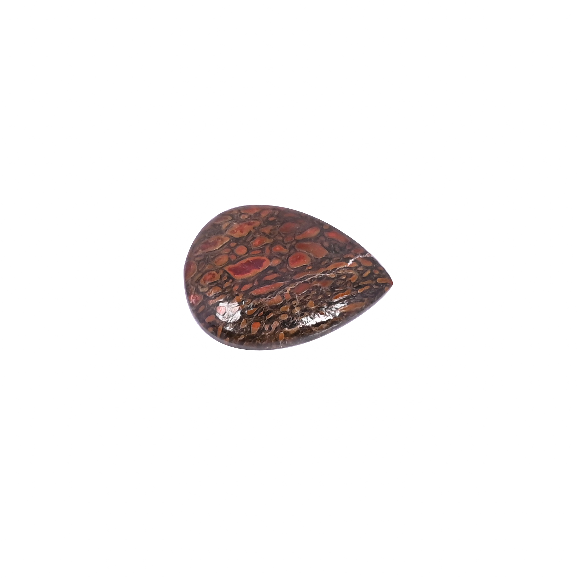 Dinosaur Bone 11 Carat 21x15mm Pear Shape Loose Gemstone
