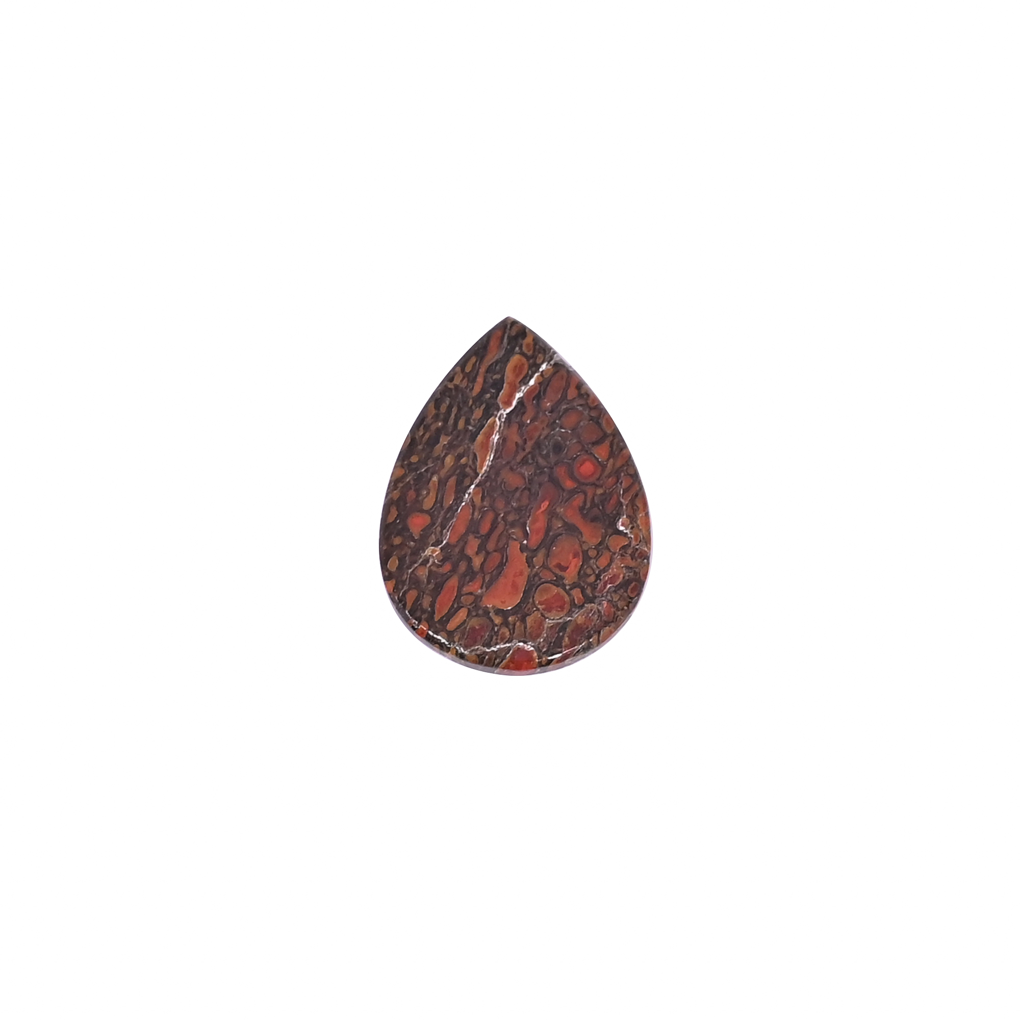 Dinosaur Bone 11 Carat 21x15mm Pear Shape Loose Gemstone