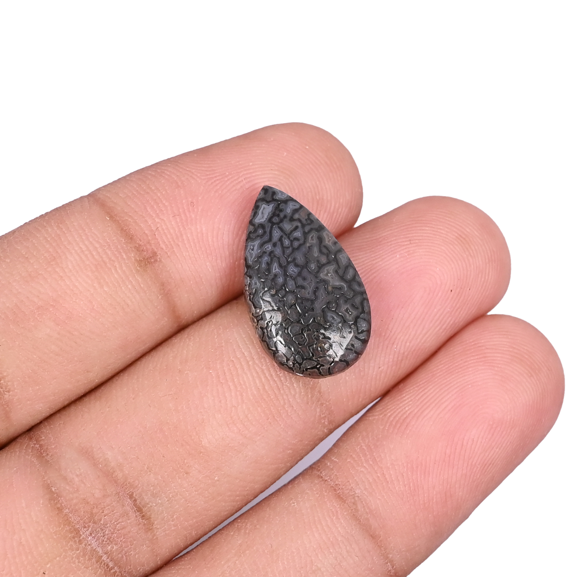 Dinosaur Bone 72 Carat 20x11mm Pear Shape Loose Gemstone