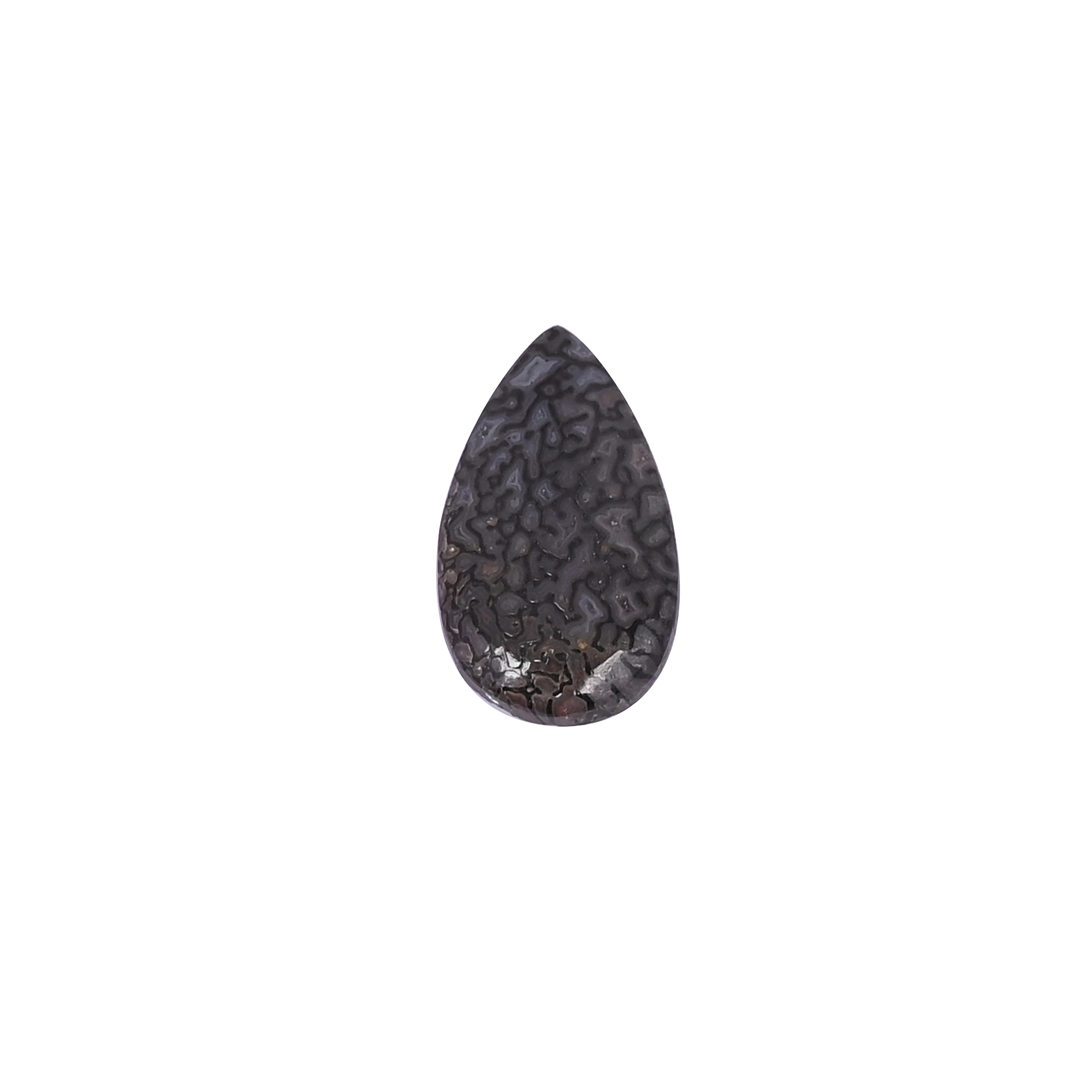 Dinosaur Bone 72 Carat 20x11mm Pear Shape Loose Gemstone