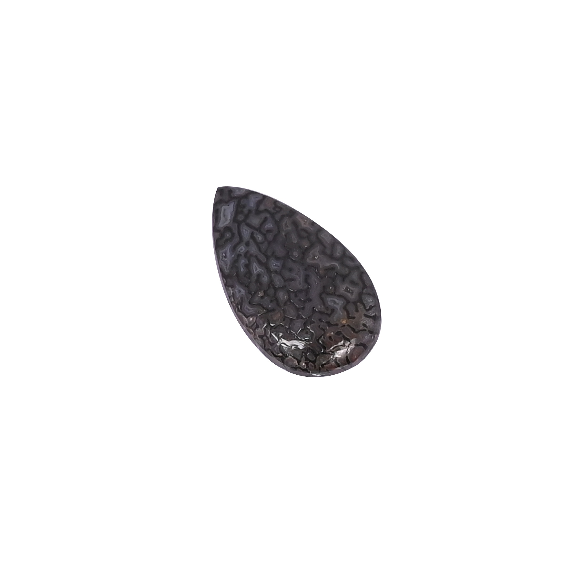 Dinosaur Bone 72 Carat 20x11mm Pear Shape Loose Gemstone