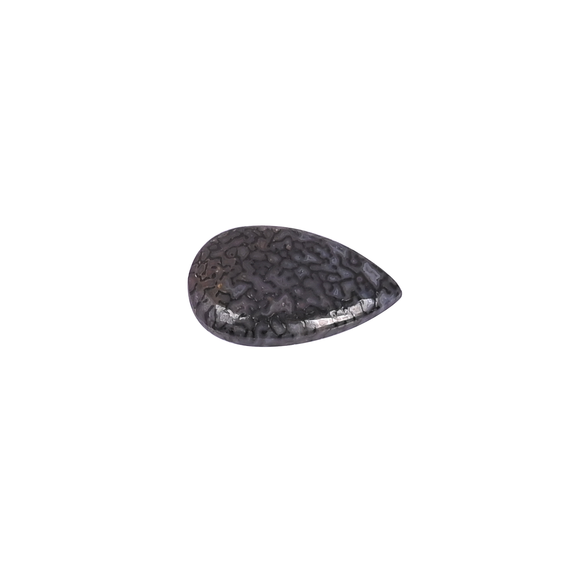 Dinosaur Bone 72 Carat 20x11mm Pear Shape Loose Gemstone