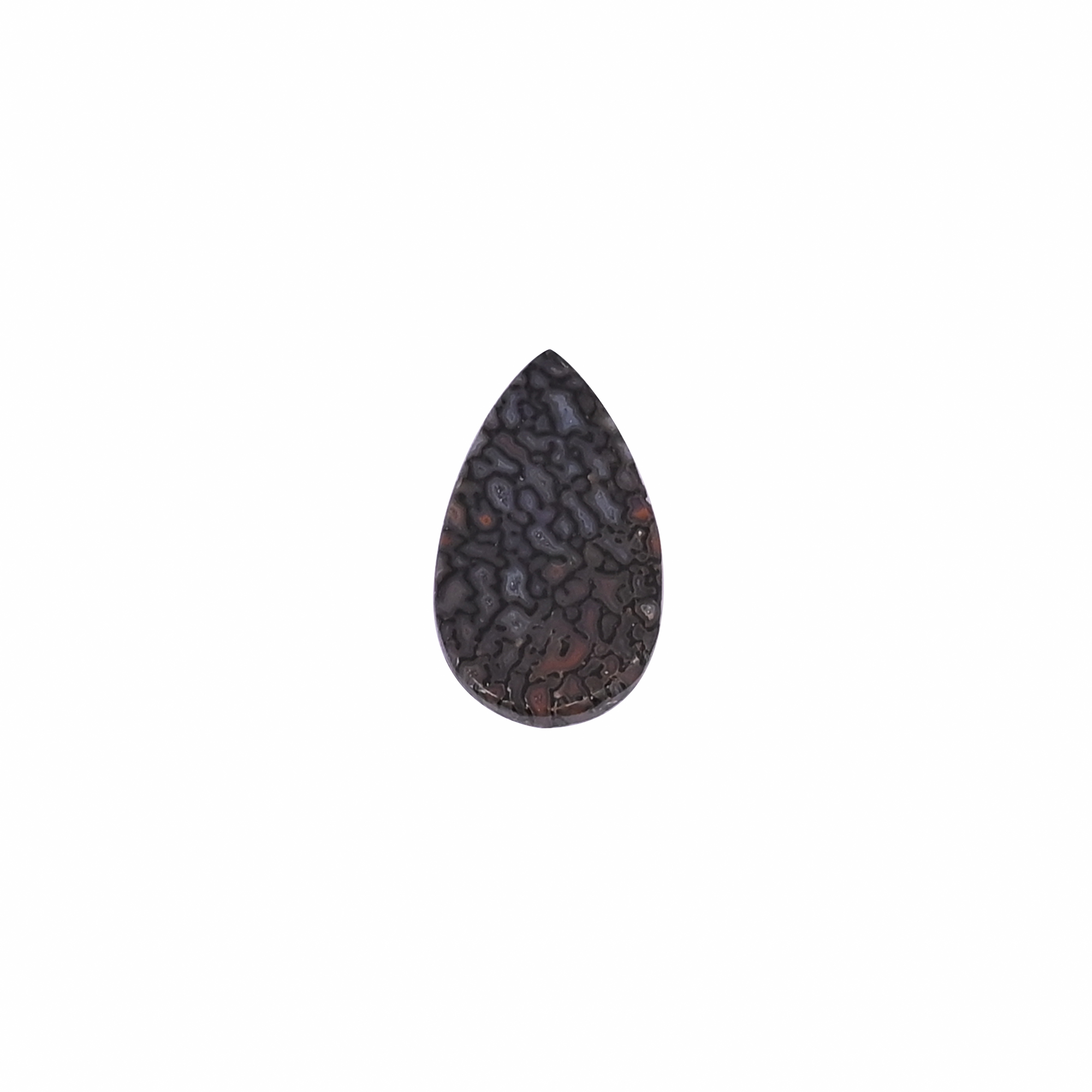 Dinosaur Bone 72 Carat 20x11mm Pear Shape Loose Gemstone
