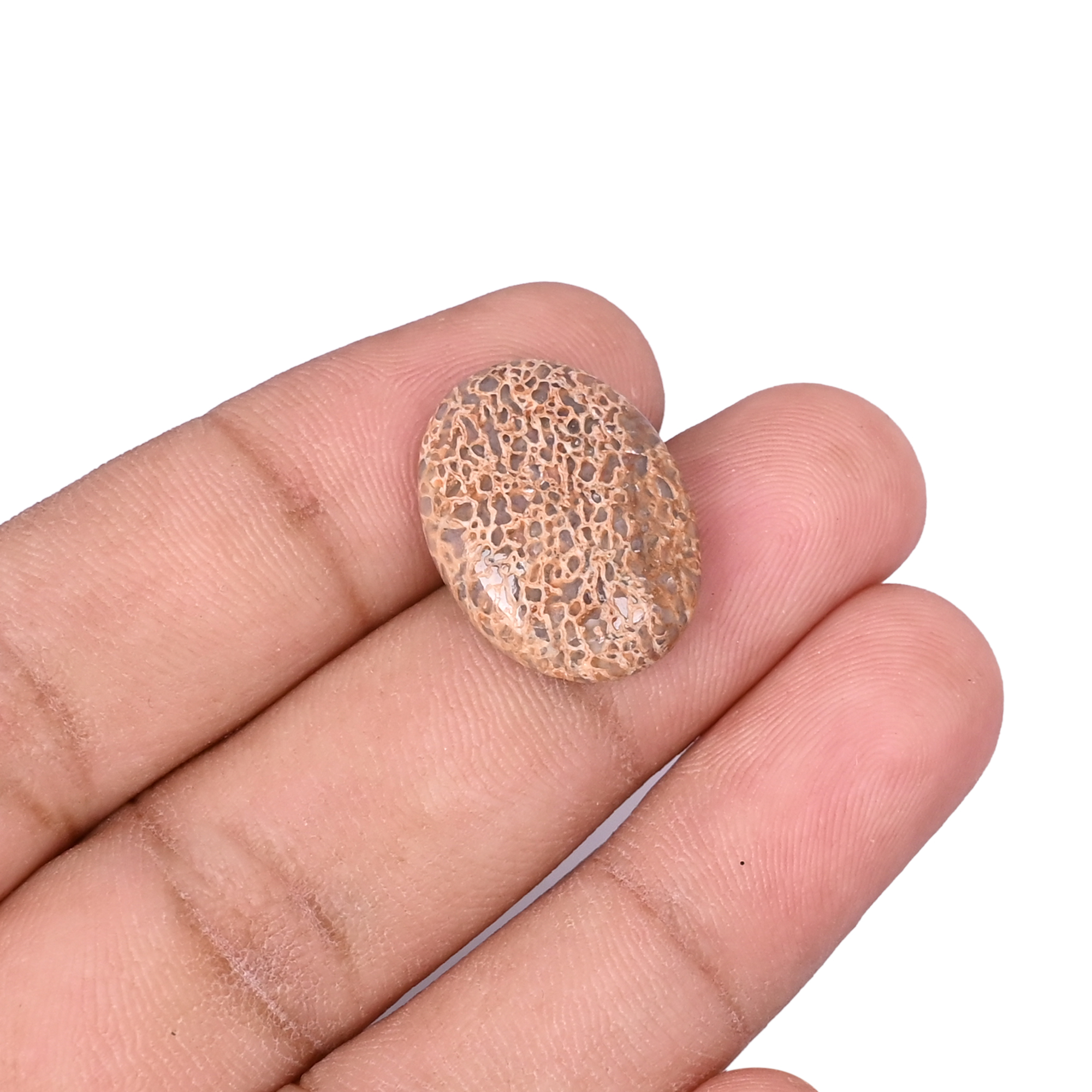 Dinosaur Bone 12 Carat 20x15mm Oval Shape Loose Gemstone