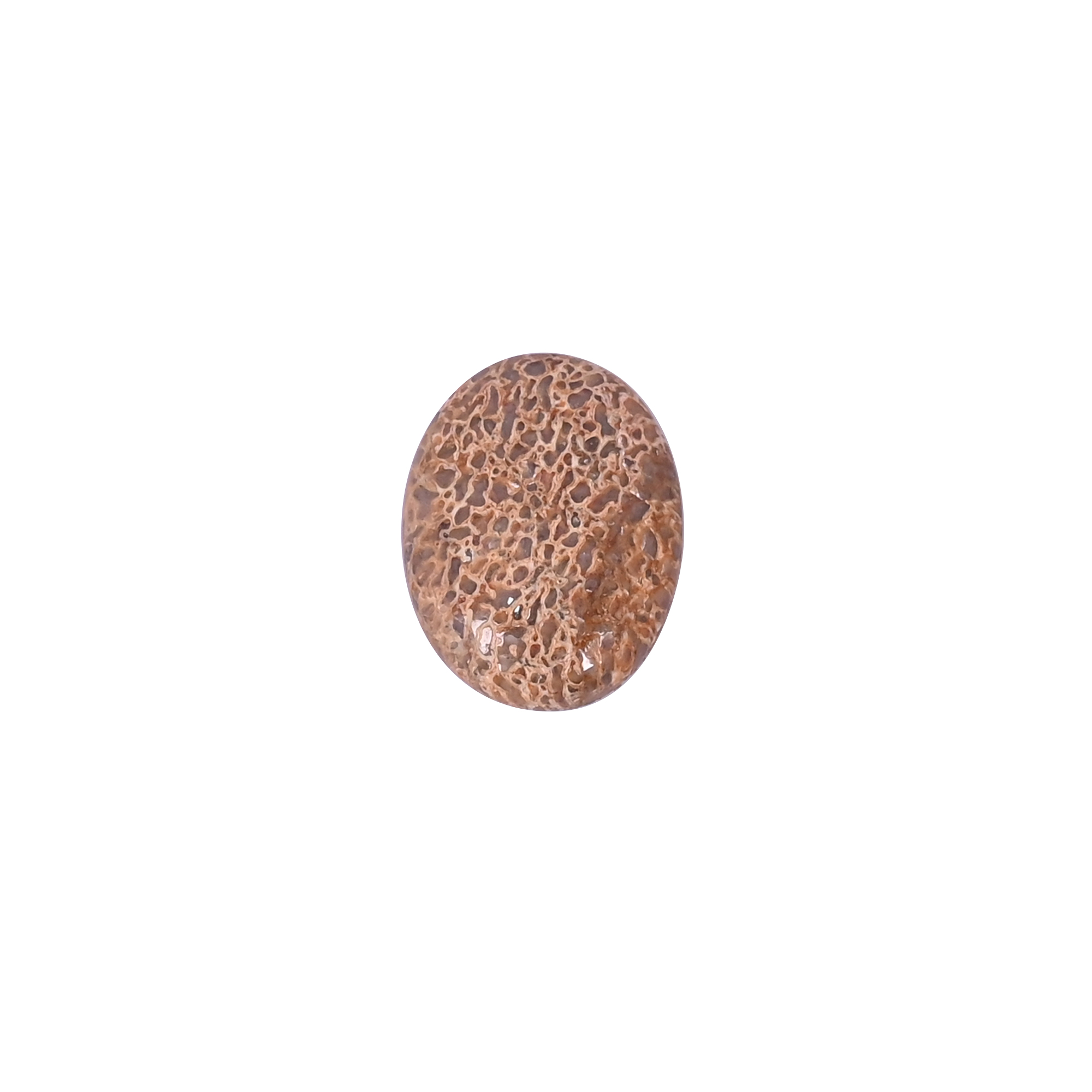 Dinosaur Bone 12 Carat 20x15mm Oval Shape Loose Gemstone