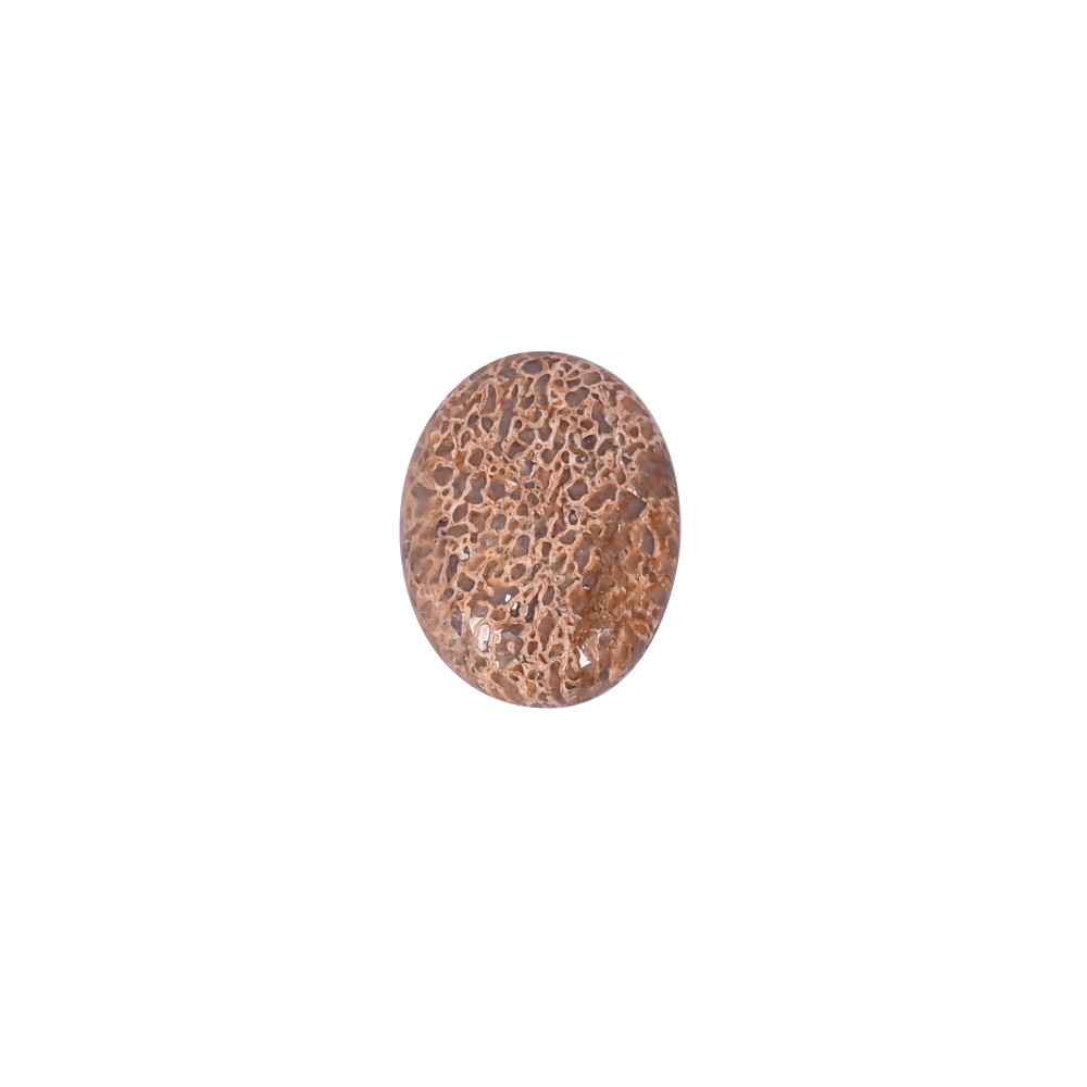 Image of Dinosaur Bone 12 Carat 20x15mm Oval Shape Loose Gemstone