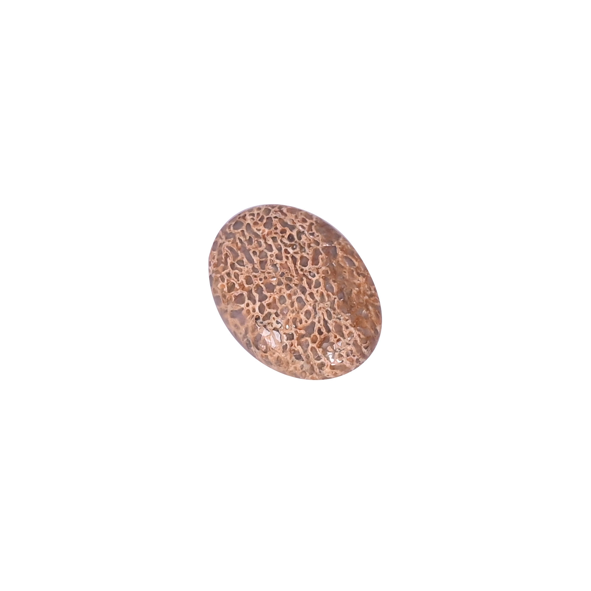 Dinosaur Bone 12 Carat 20x15mm Oval Shape Loose Gemstone