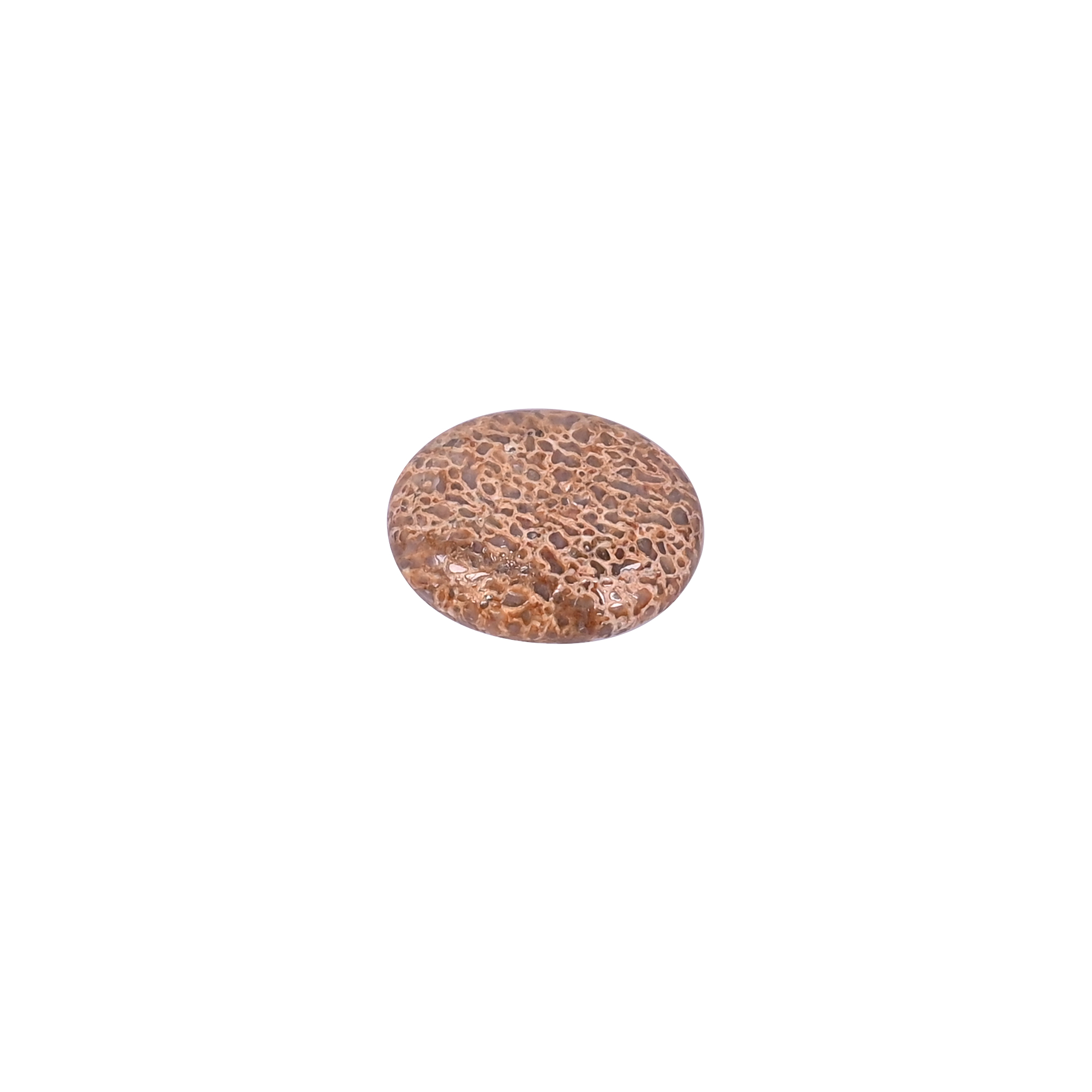 Dinosaur Bone 12 Carat 20x15mm Oval Shape Loose Gemstone