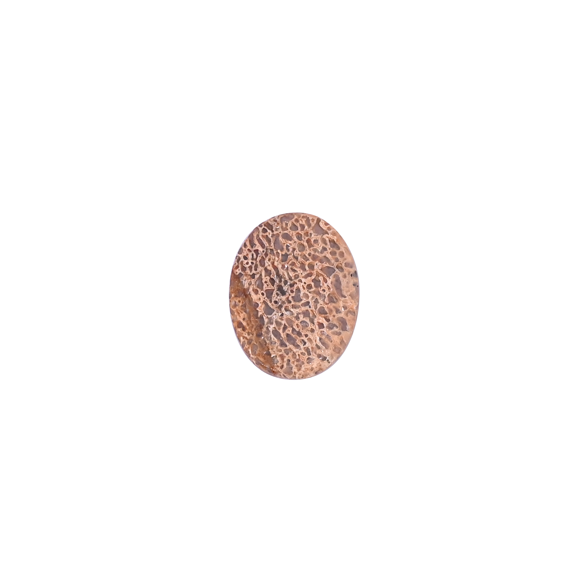 Dinosaur Bone 12 Carat 20x15mm Oval Shape Loose Gemstone