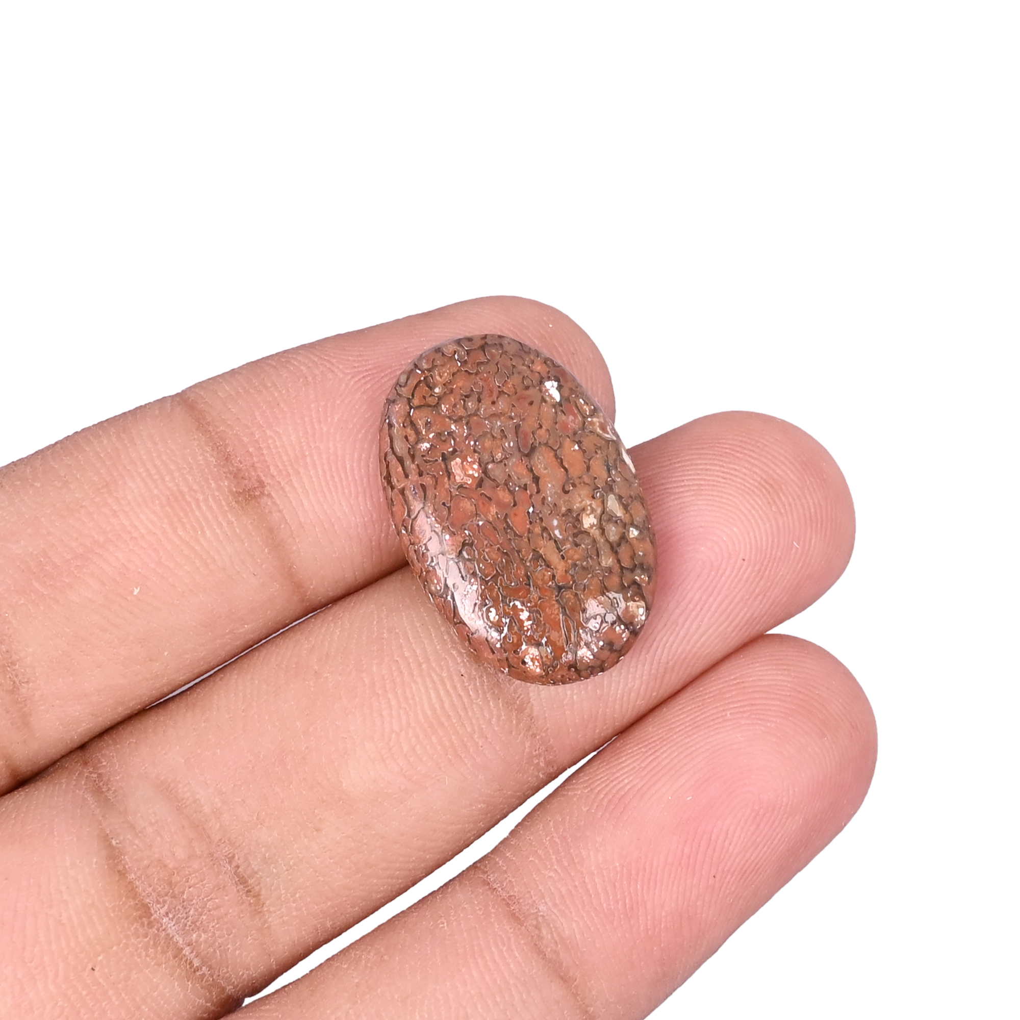 Dinosaur Bone 1320 Carat 23x15mm Oval Shape Loose Gemstone