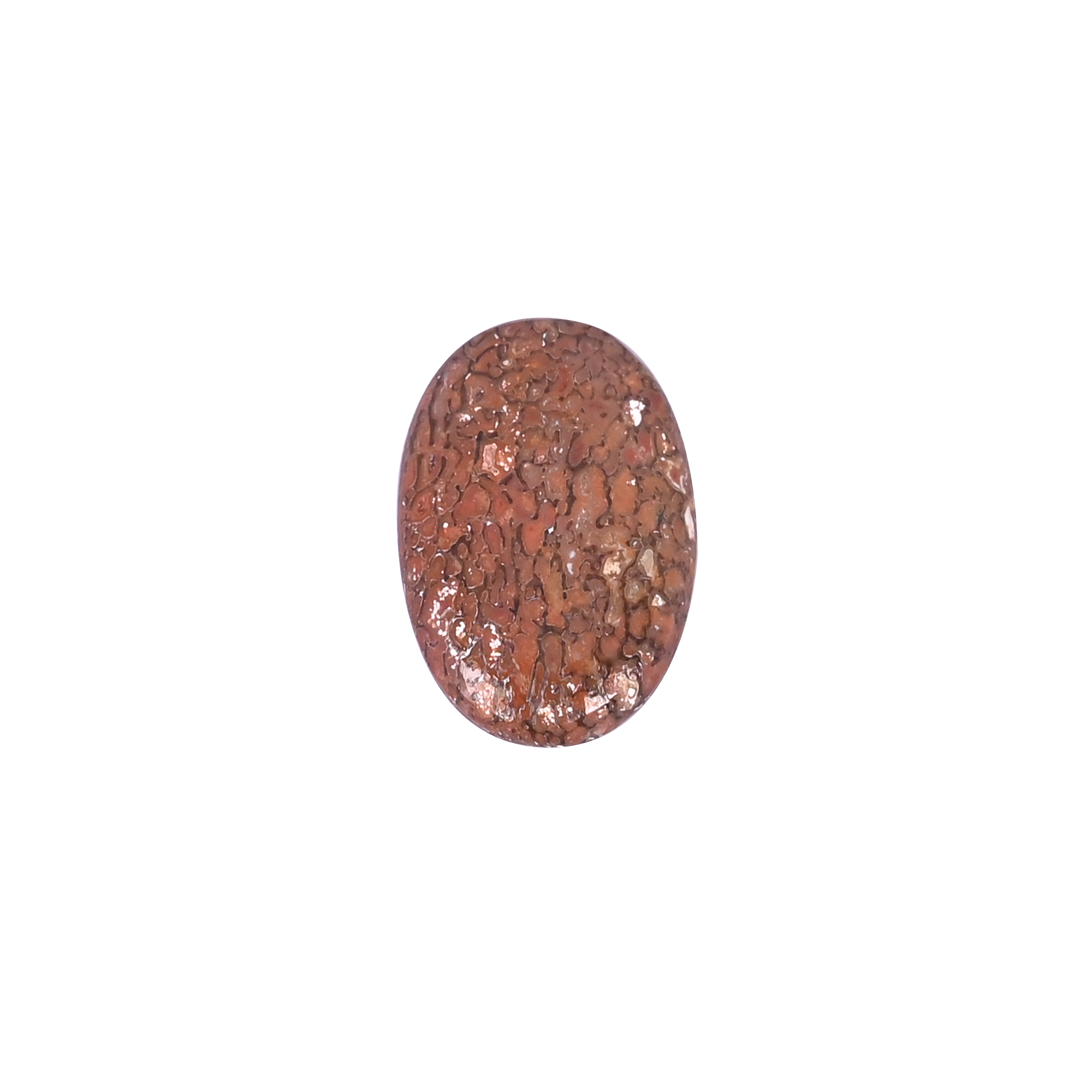 Dinosaur Bone 1320 Carat 23x15mm Oval Shape Loose Gemstone