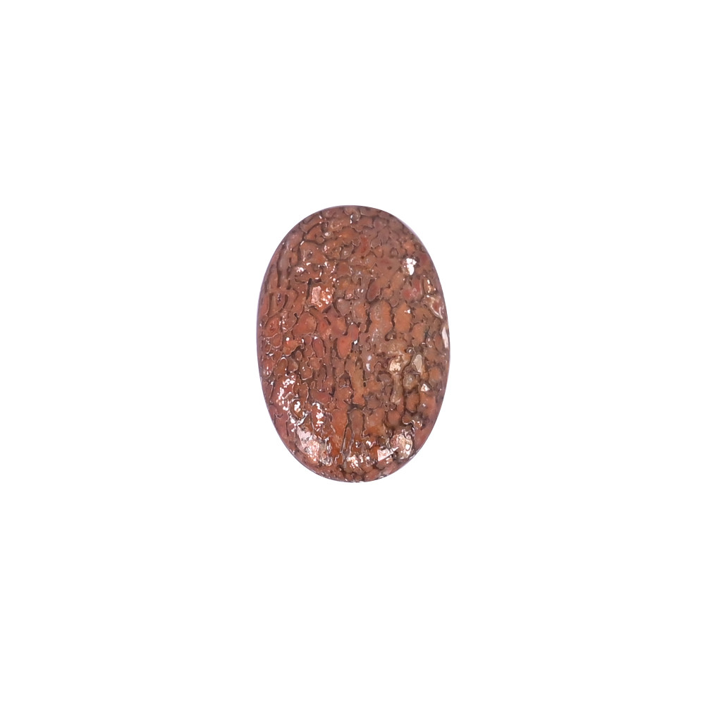 Image of Dinosaur Bone 13.20 Carat 23x15mm Oval Shape Loose Gemstone