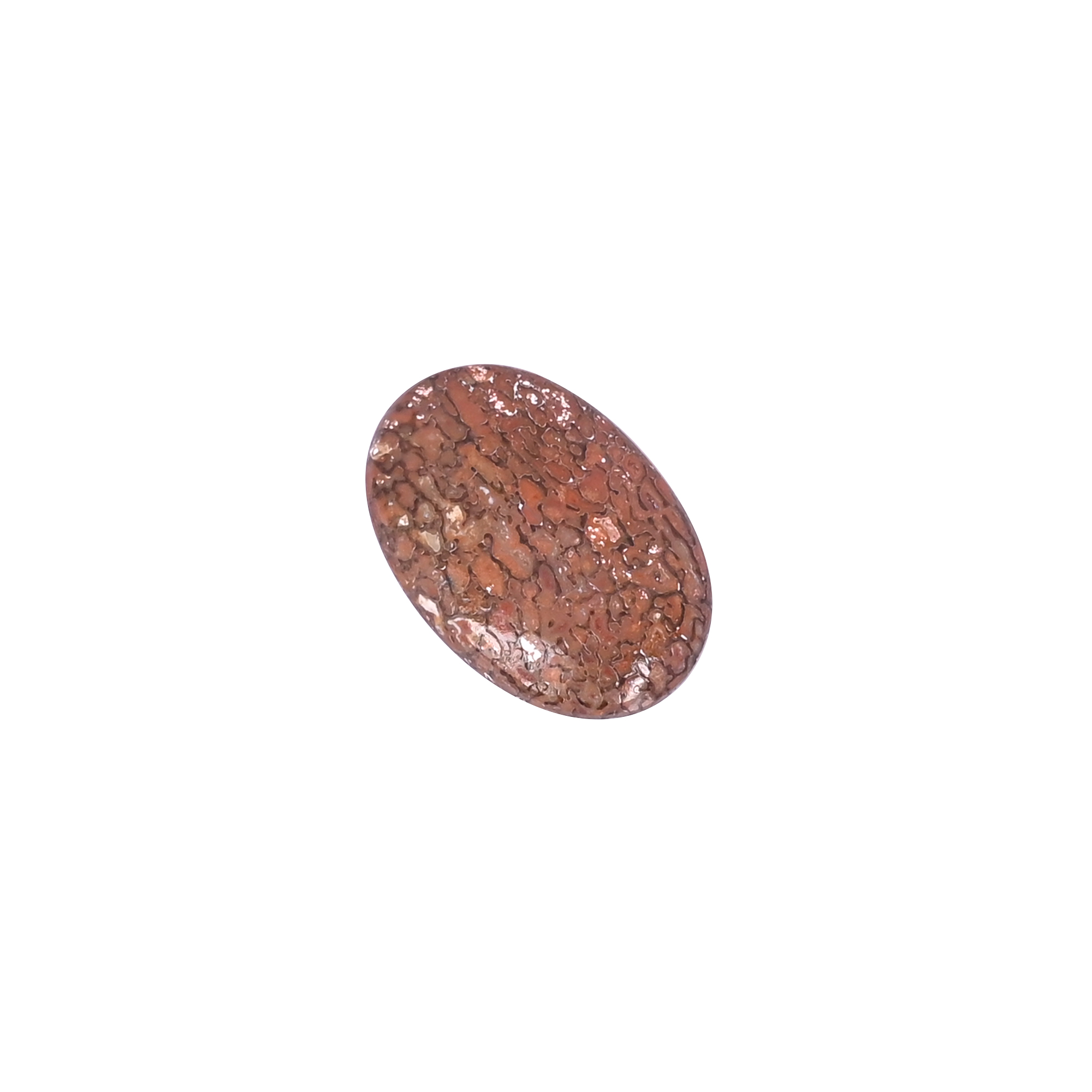 Dinosaur Bone 1320 Carat 23x15mm Oval Shape Loose Gemstone