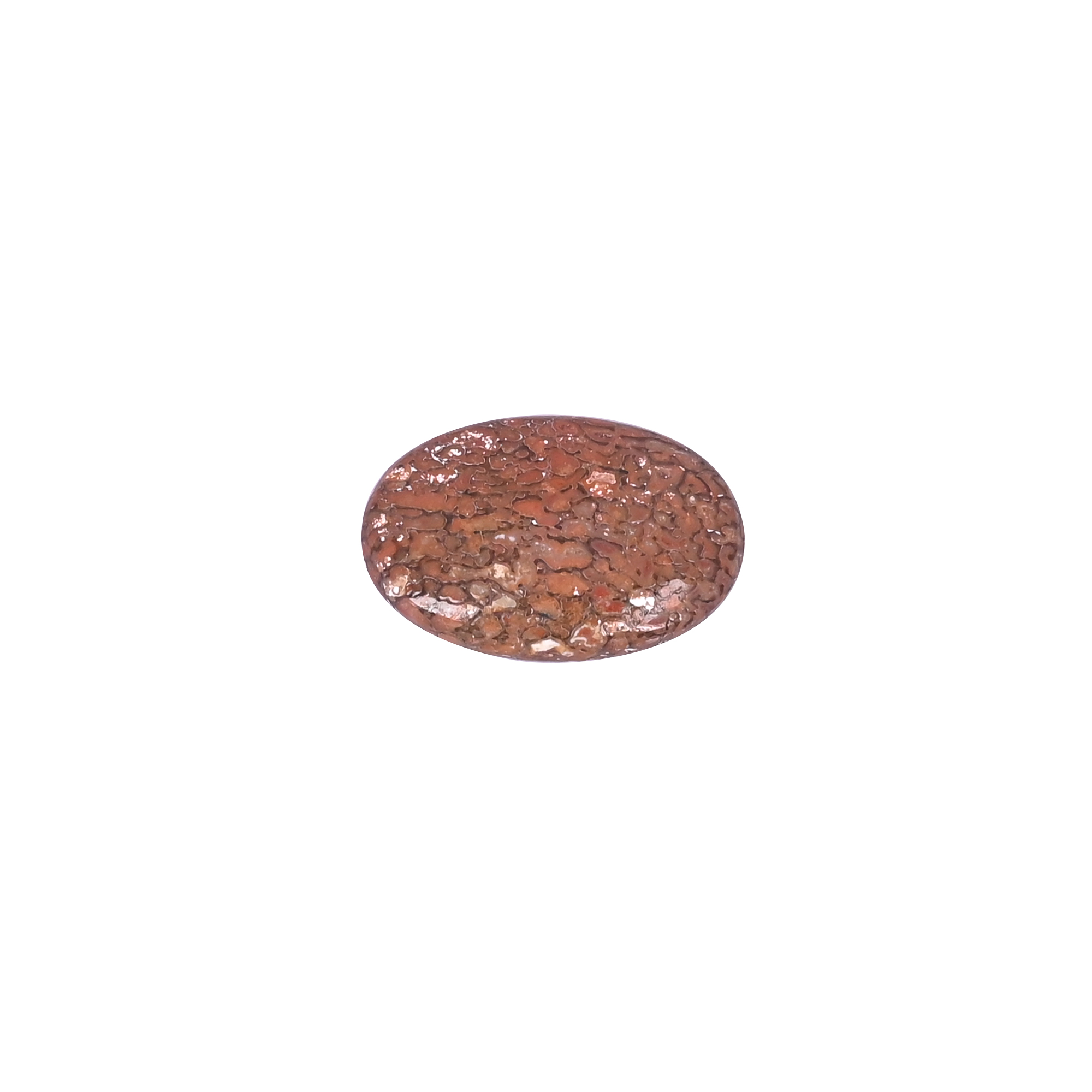Dinosaur Bone 1320 Carat 23x15mm Oval Shape Loose Gemstone