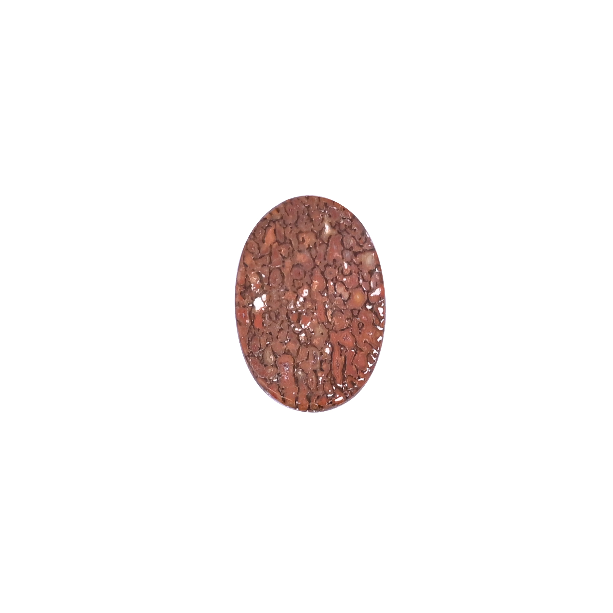 Dinosaur Bone 1320 Carat 23x15mm Oval Shape Loose Gemstone