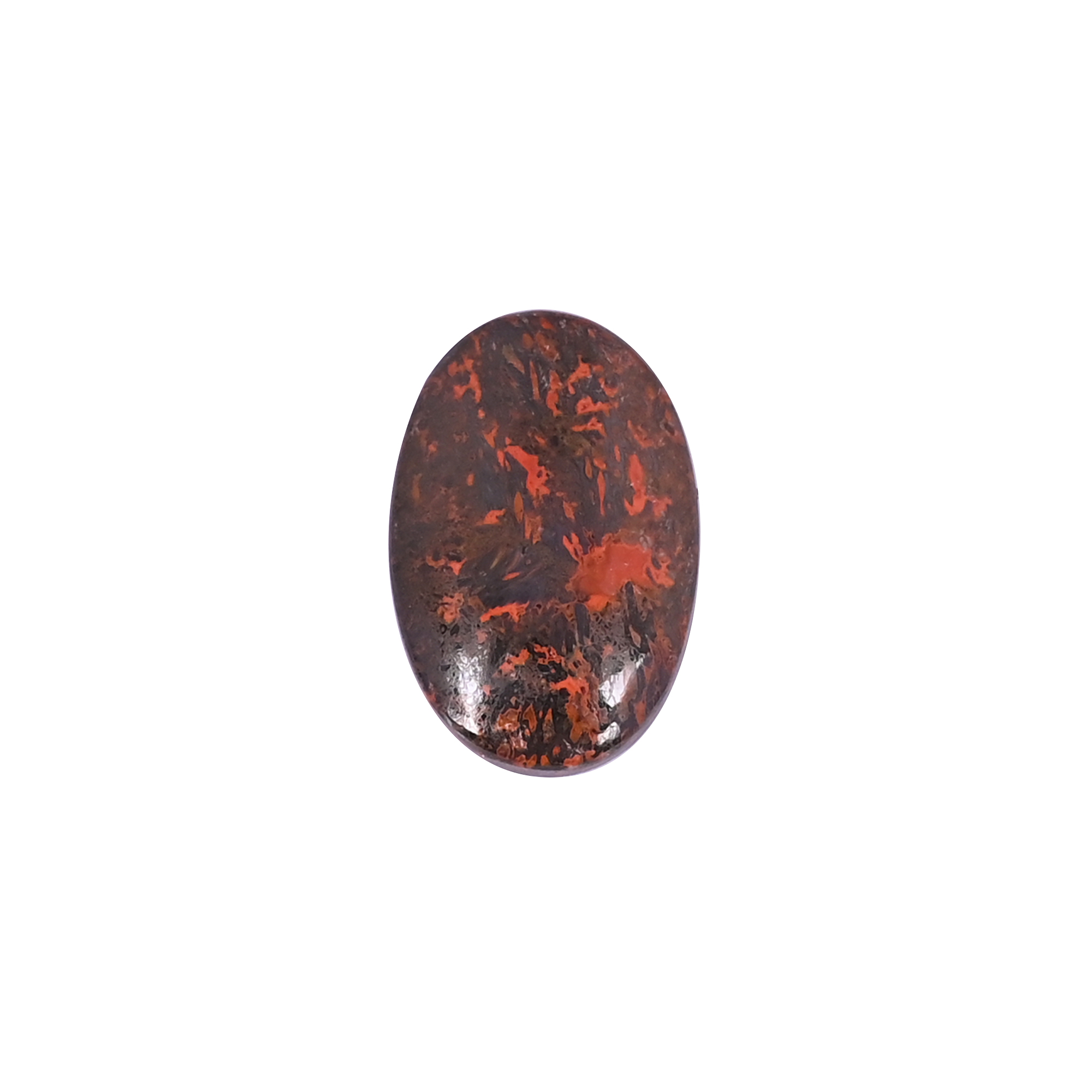 Dinosaur Bone 1320 Carat 23x15mm Oval Shape Loose Gemstone