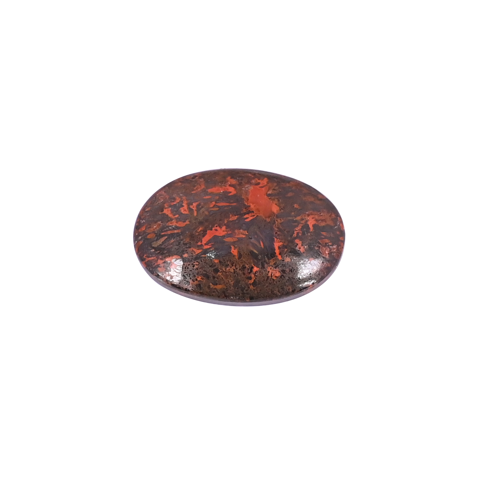 Dinosaur Bone 1320 Carat 23x15mm Oval Shape Loose Gemstone