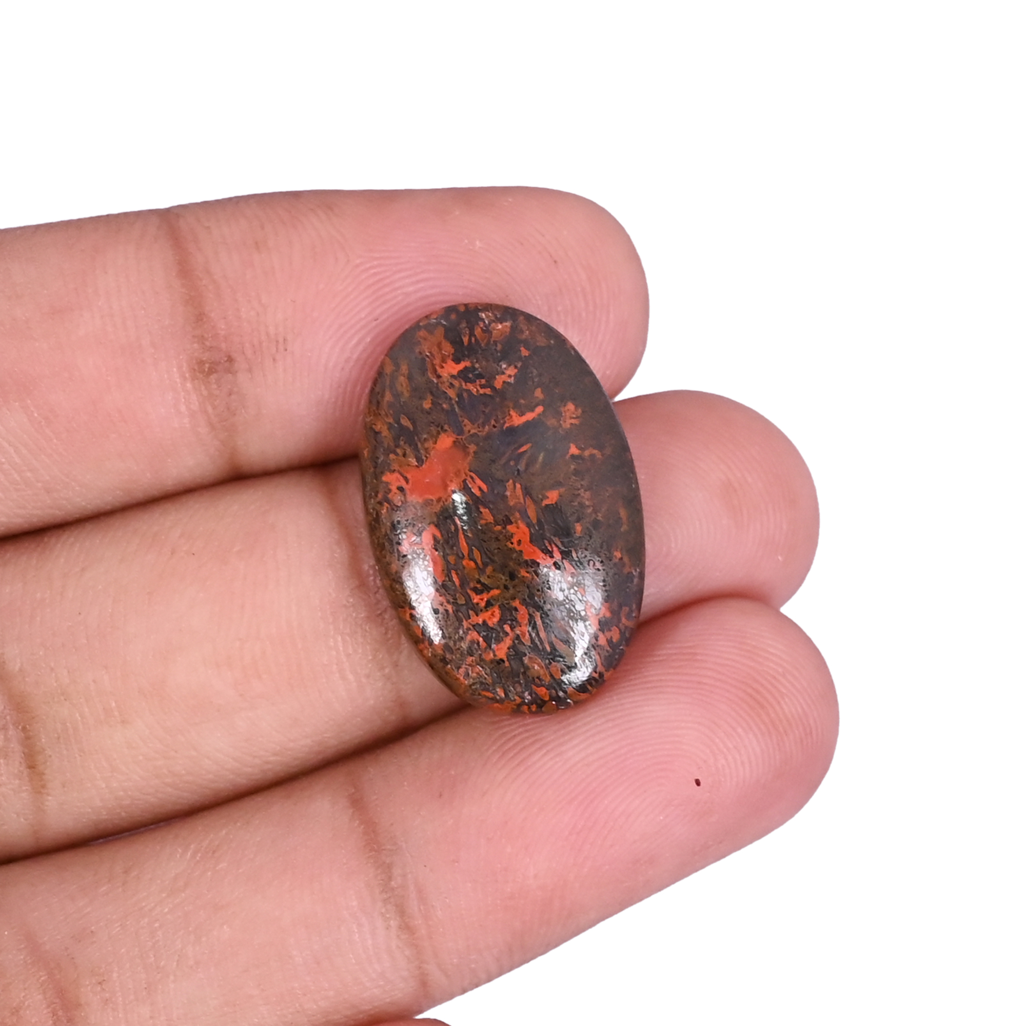 Dinosaur Bone 1320 Carat 23x15mm Oval Shape Loose Gemstone