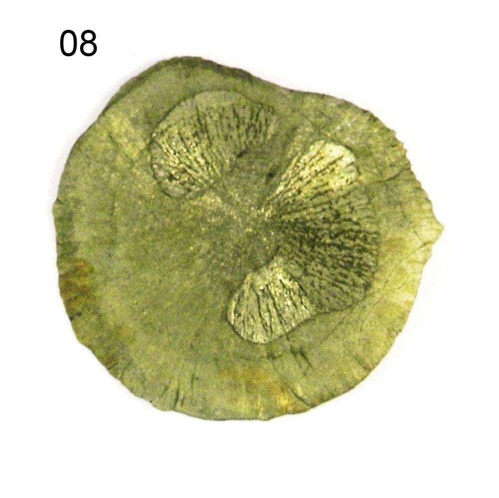 Iridescent Metallic Natural Sun Pyrite Miners Dollar Loose Gemstone