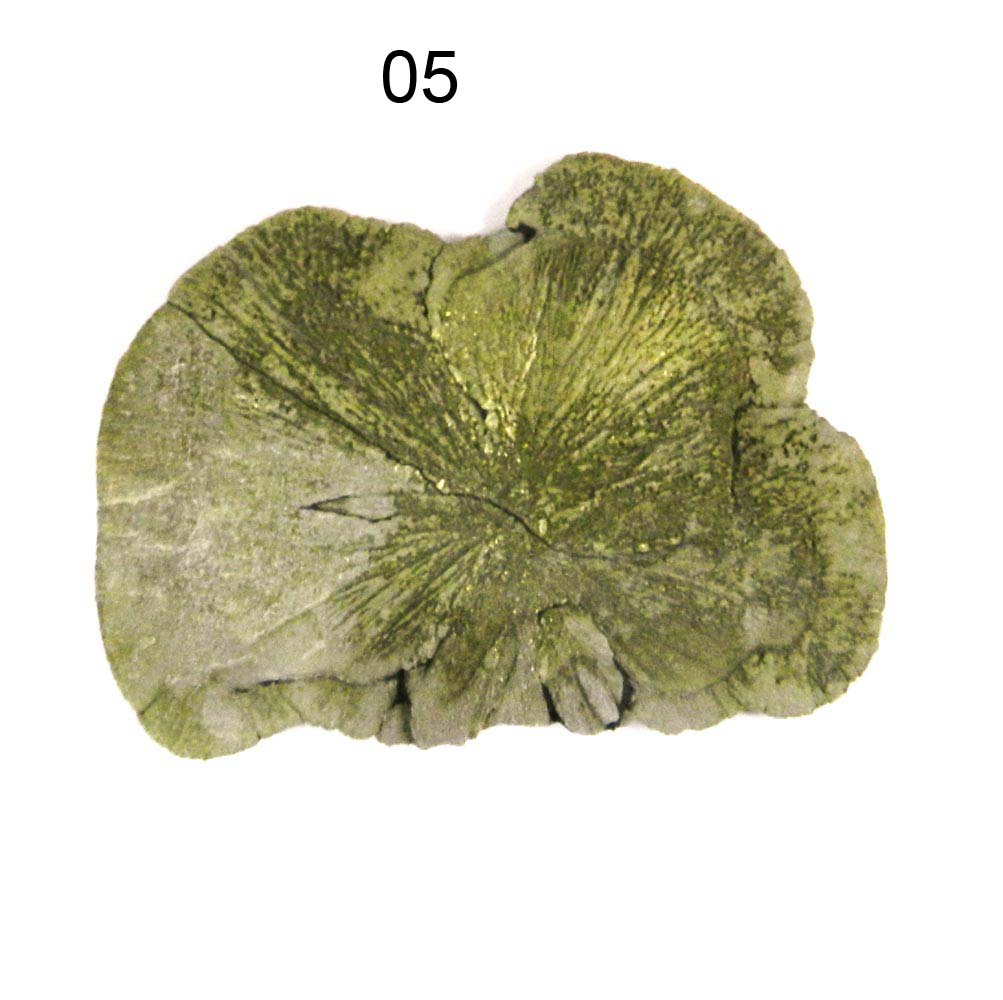 Iridescent Metallic Natural Sun Pyrite Miners Dollar Loose Gemstone