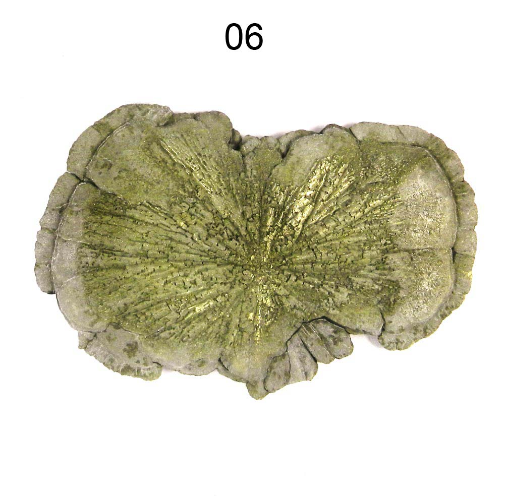 Iridescent Metallic Natural Sun Pyrite Miners Dollar Loose Gemstone