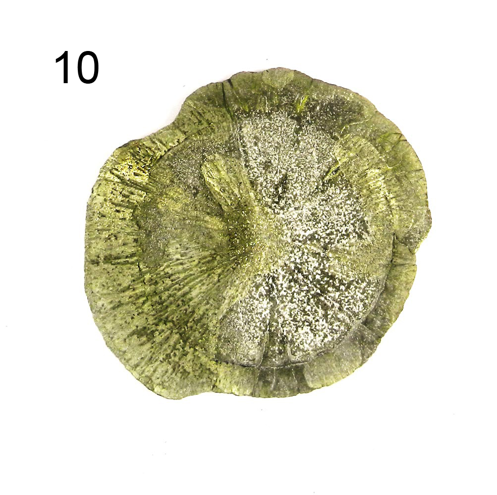 Iridescent Metallic Natural Sun Pyrite Miners Dollar Loose Gemstone