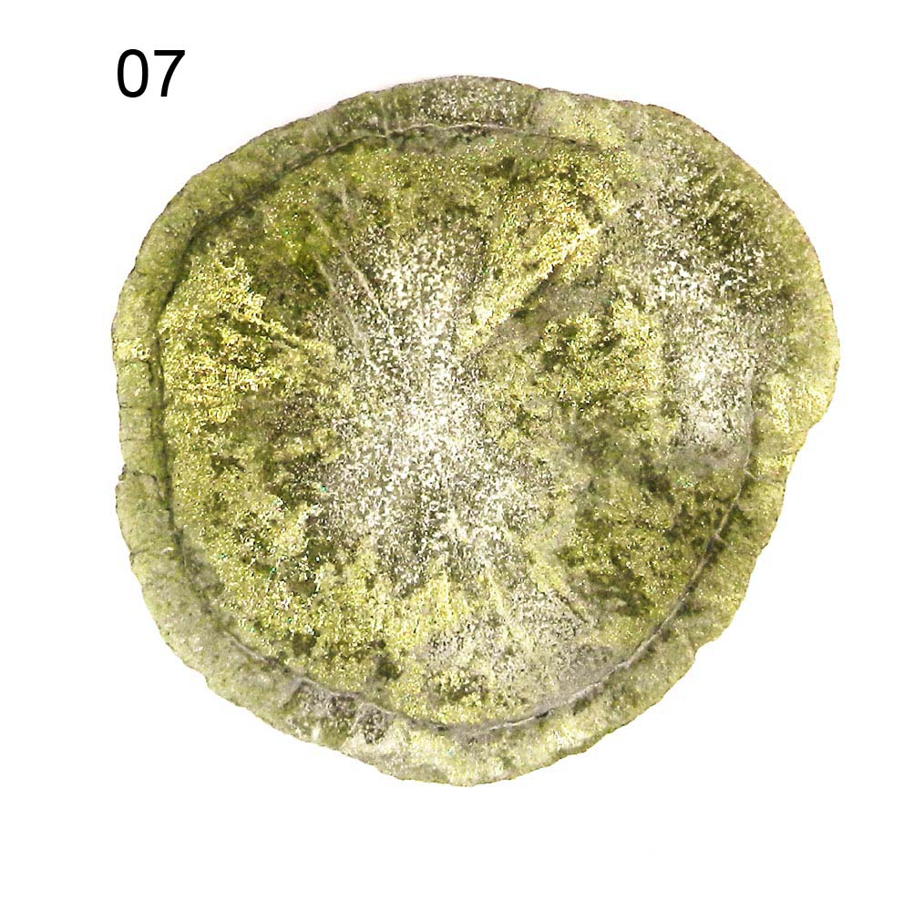 Iridescent Metallic Natural Sun Pyrite Miners Dollar Loose Gemstone