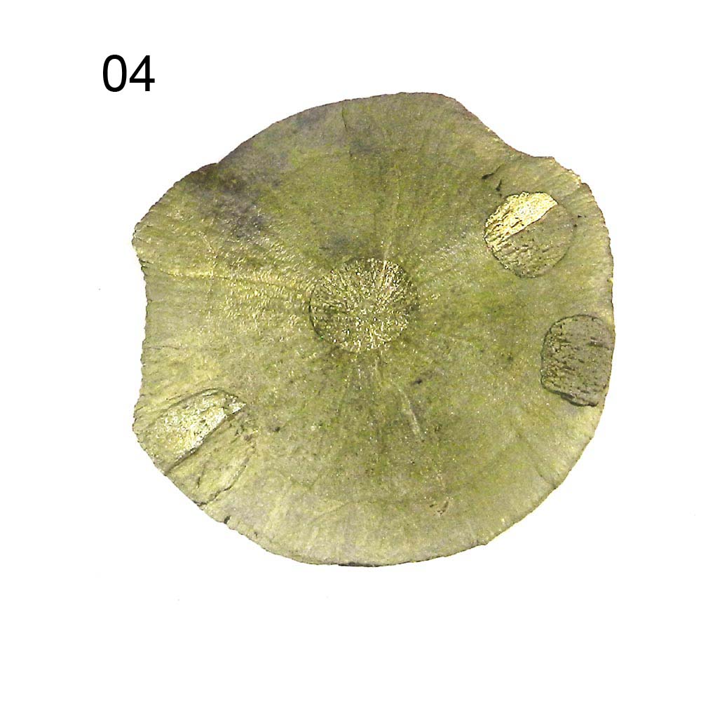 Iridescent Metallic Natural Sun Pyrite Miners Dollar Loose Gemstone