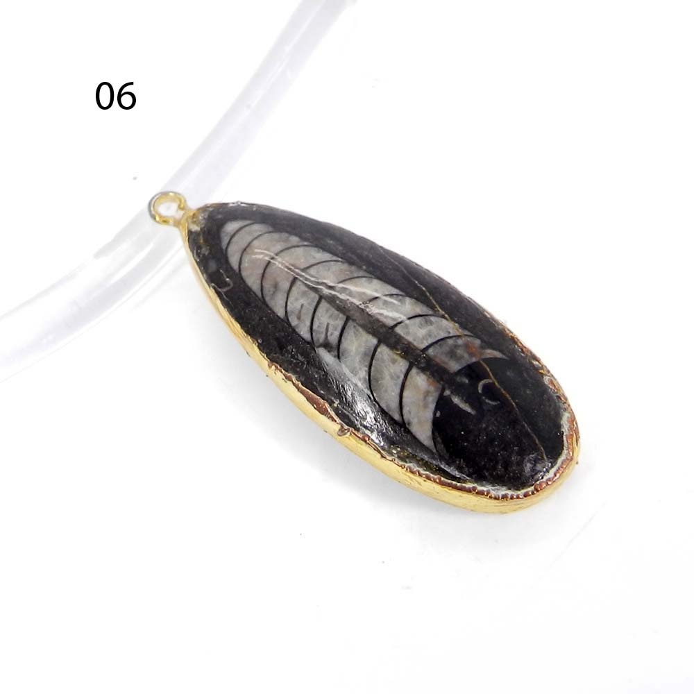 Natural Orthoceras Gold Electroplated Single Loop Connector