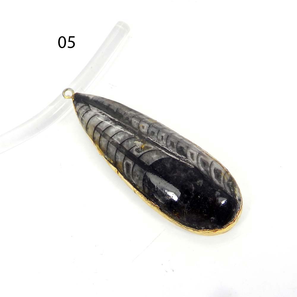 Natural Orthoceras Gold Electroplated Single Loop Connector