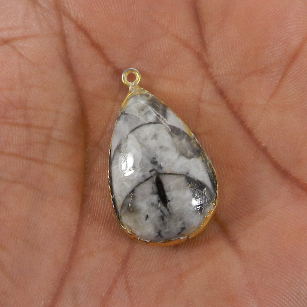 Natural Orthoceras Gold Electroplated Single Loop Connector