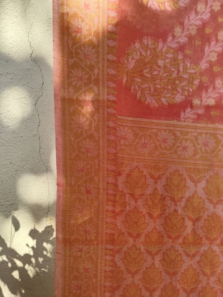 Banaras Cotton  Saree