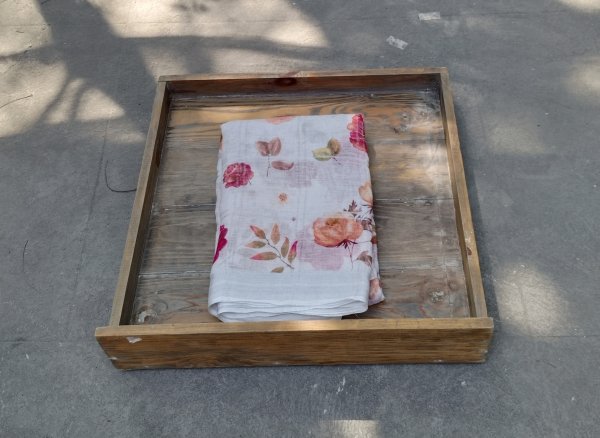 Lenin Digital Print Saree