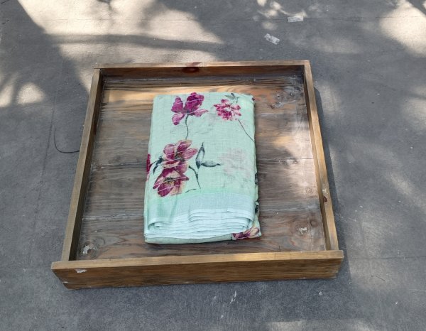 Lenin Digital Print Saree