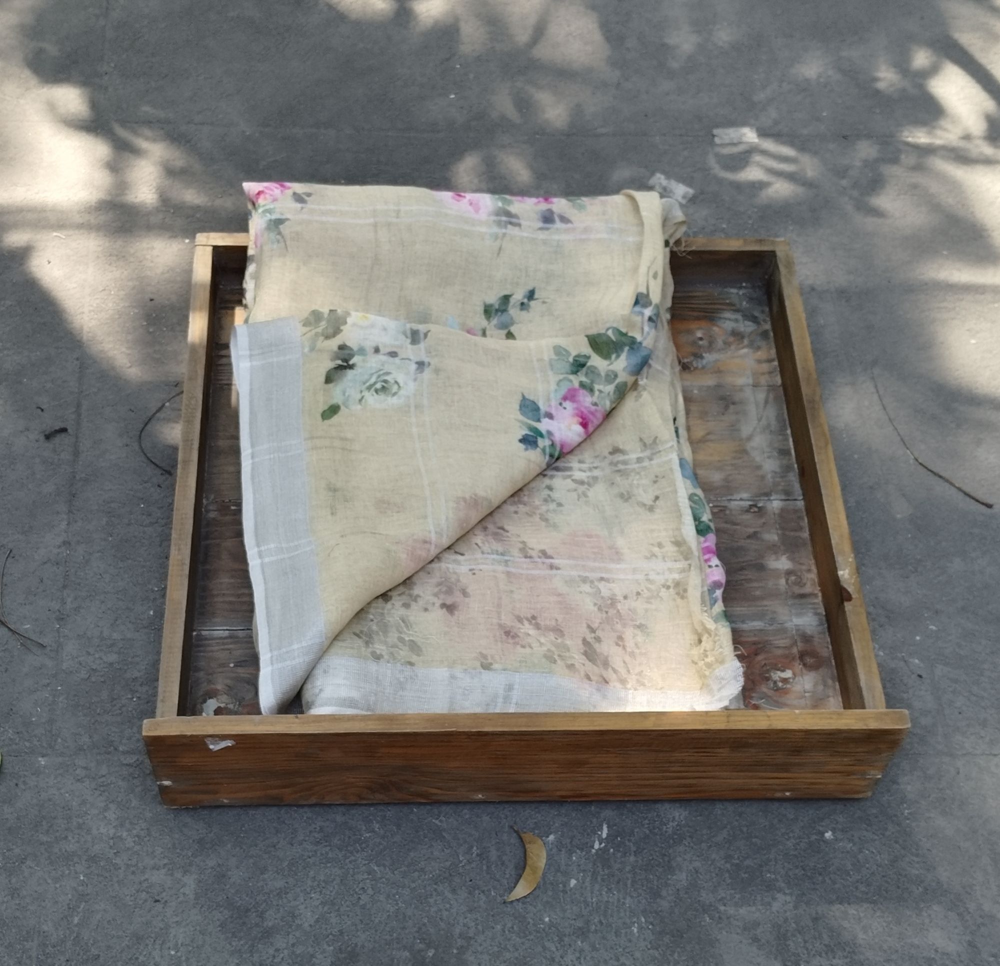 Lenin Digital Print Saree